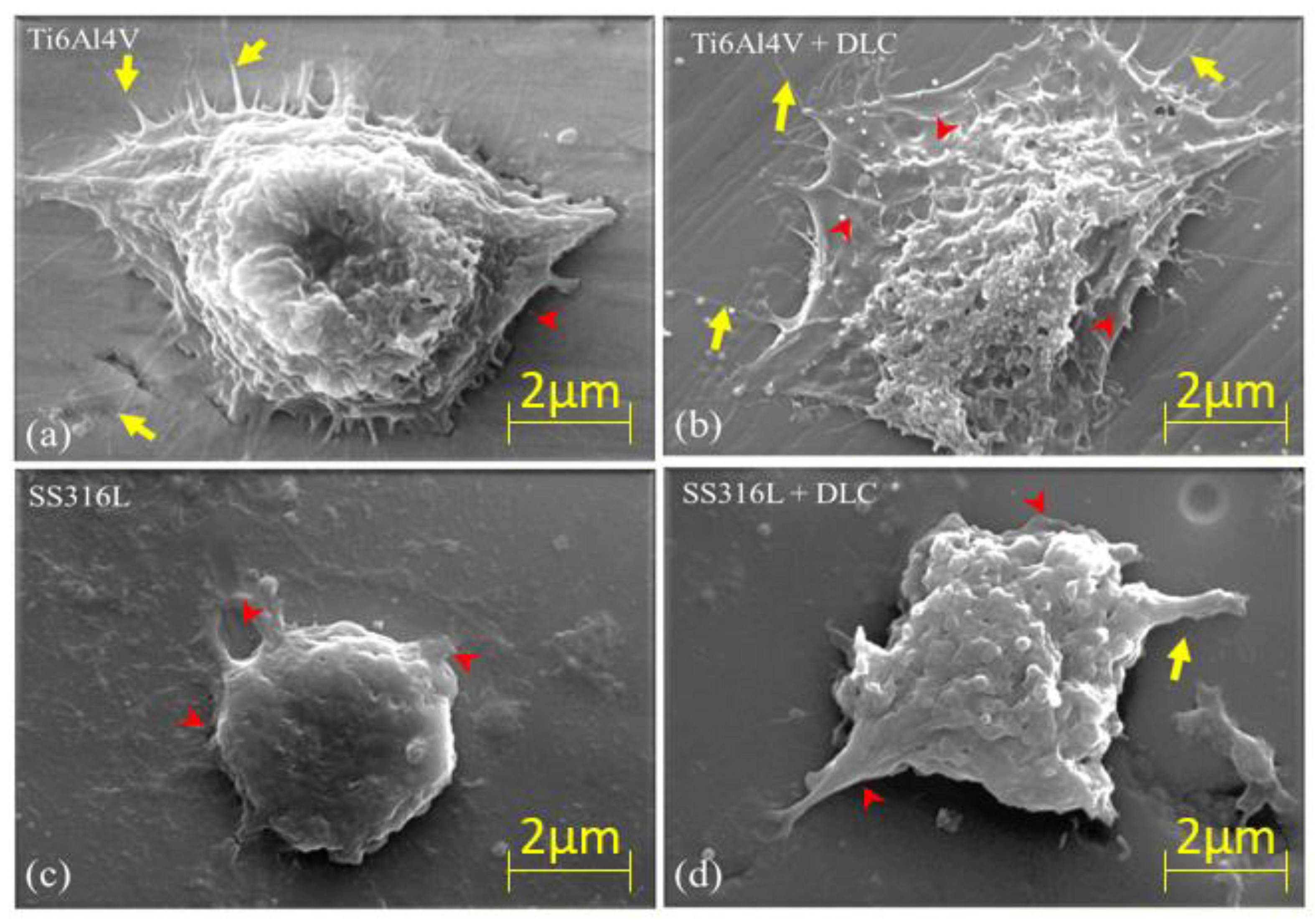 Preprints 74943 g013