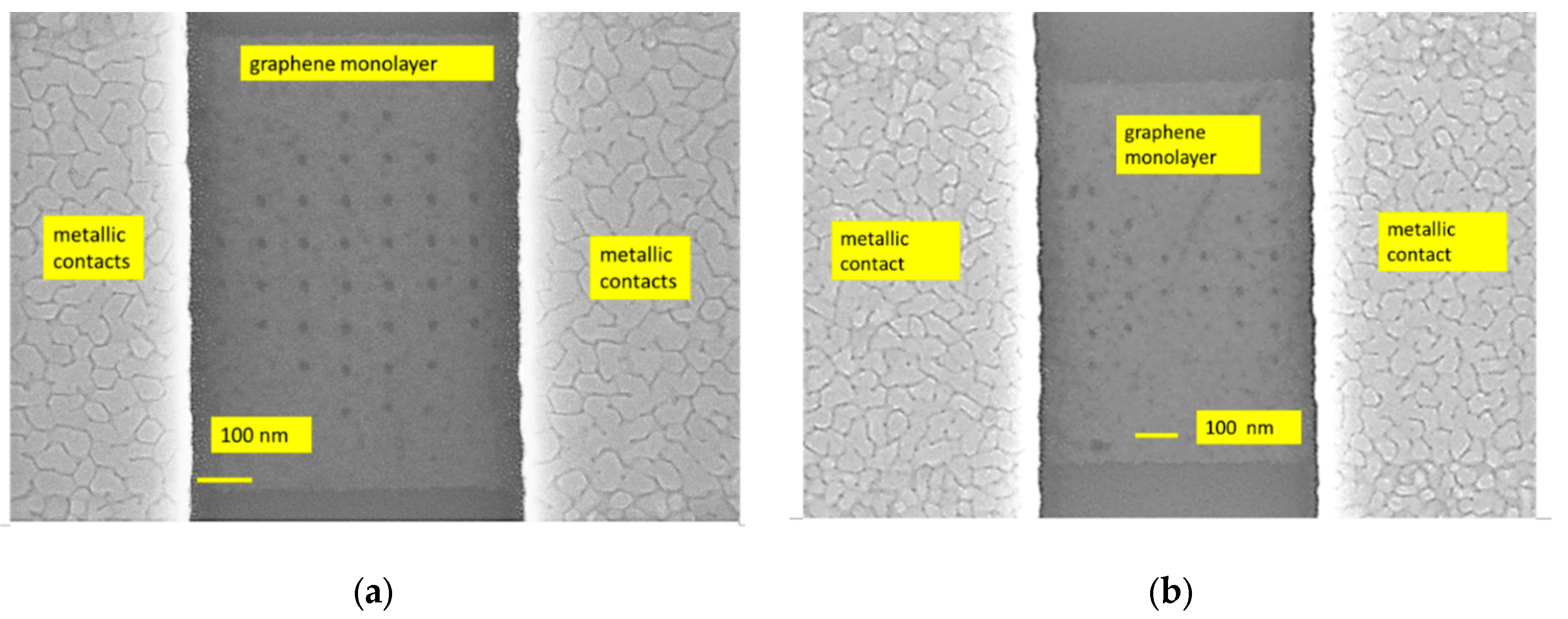 Preprints 115891 g001