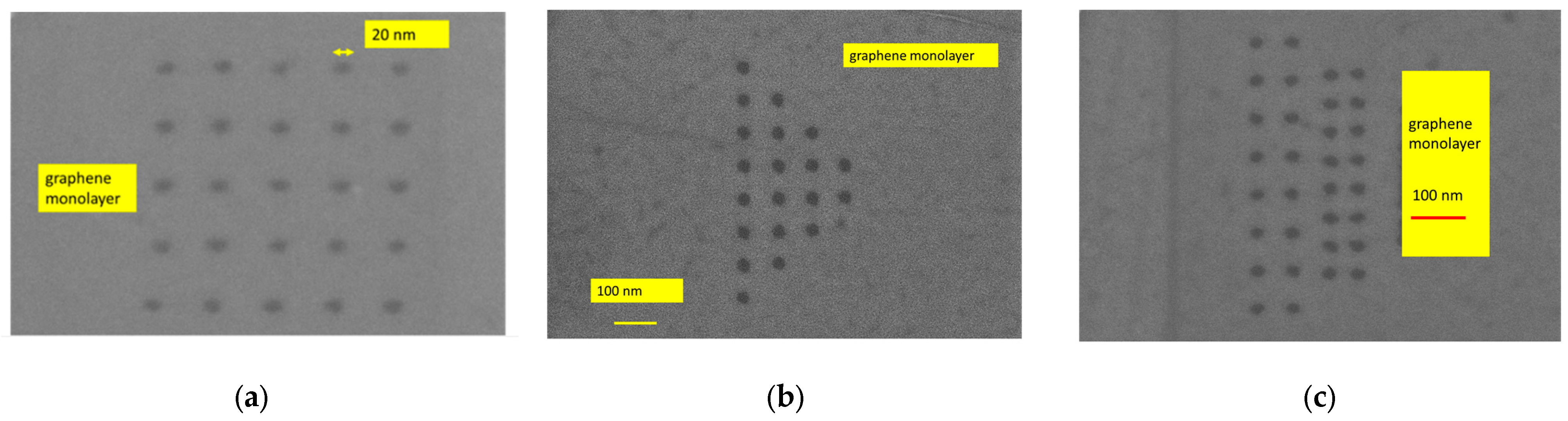 Preprints 115891 g002