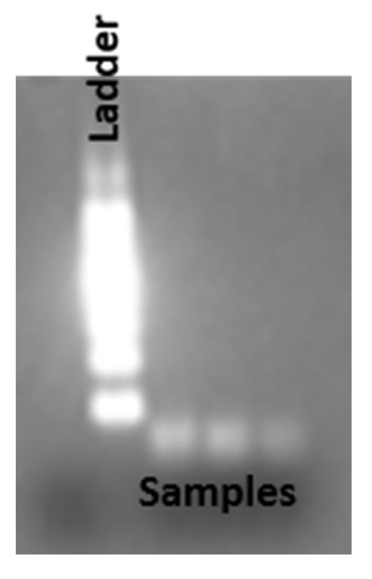 Preprints 77377 g005