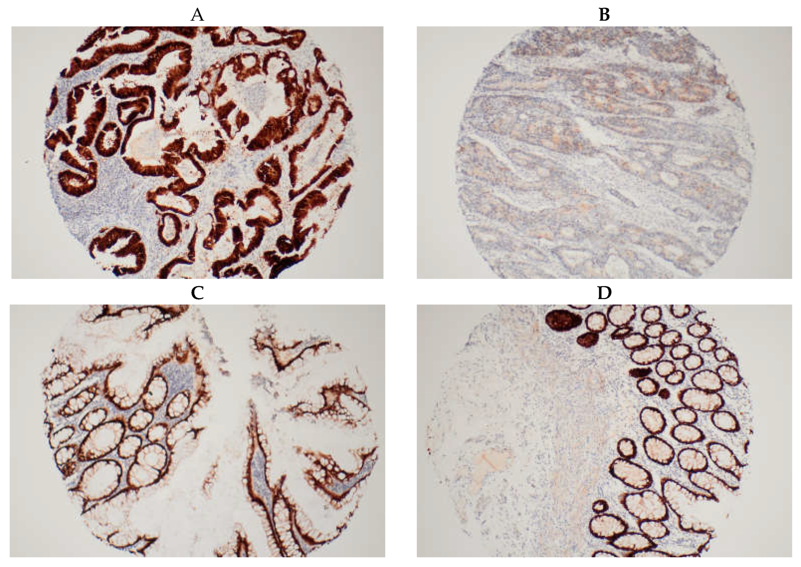 Preprints 112705 g001