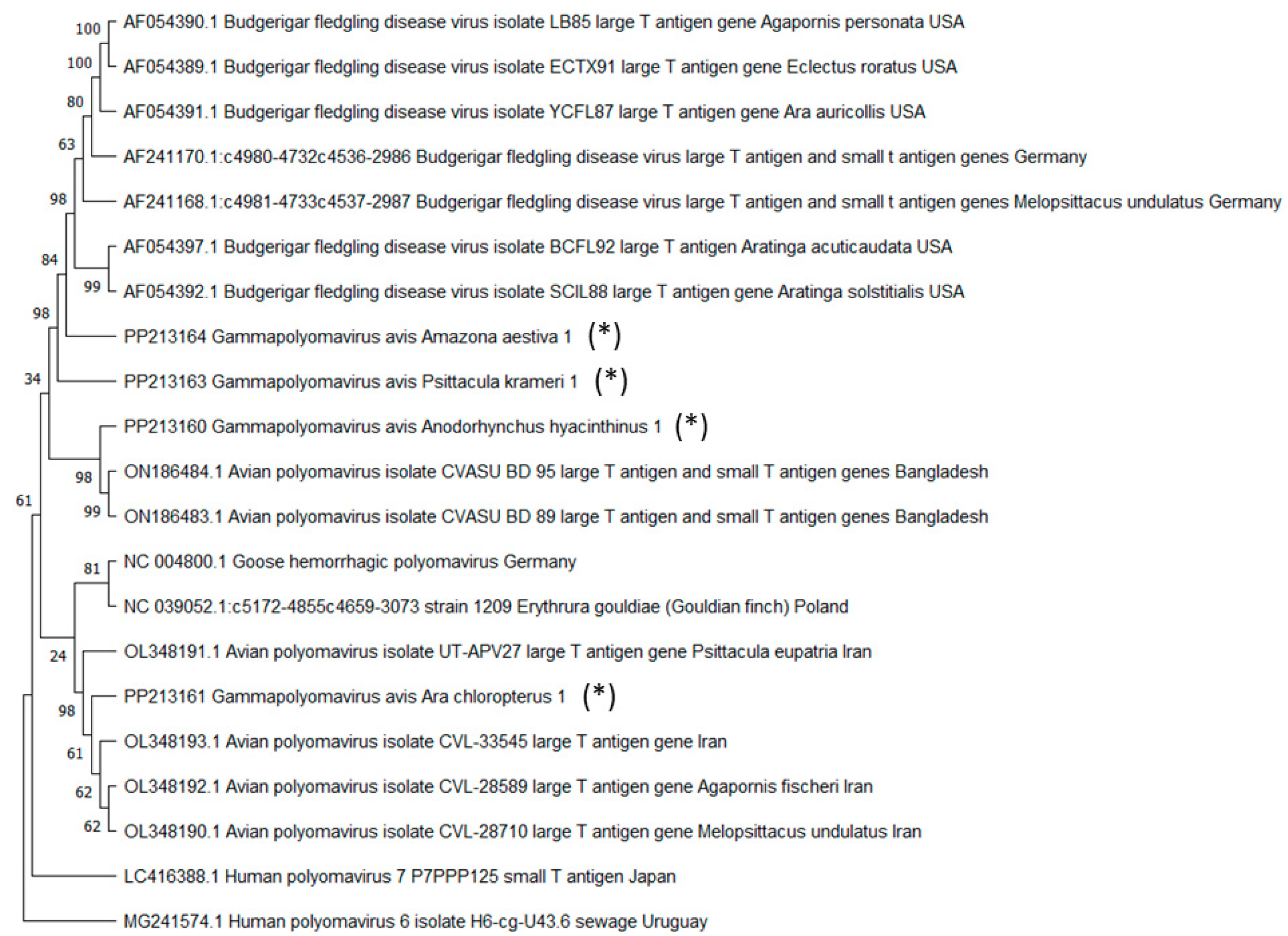 Preprints 141995 g001