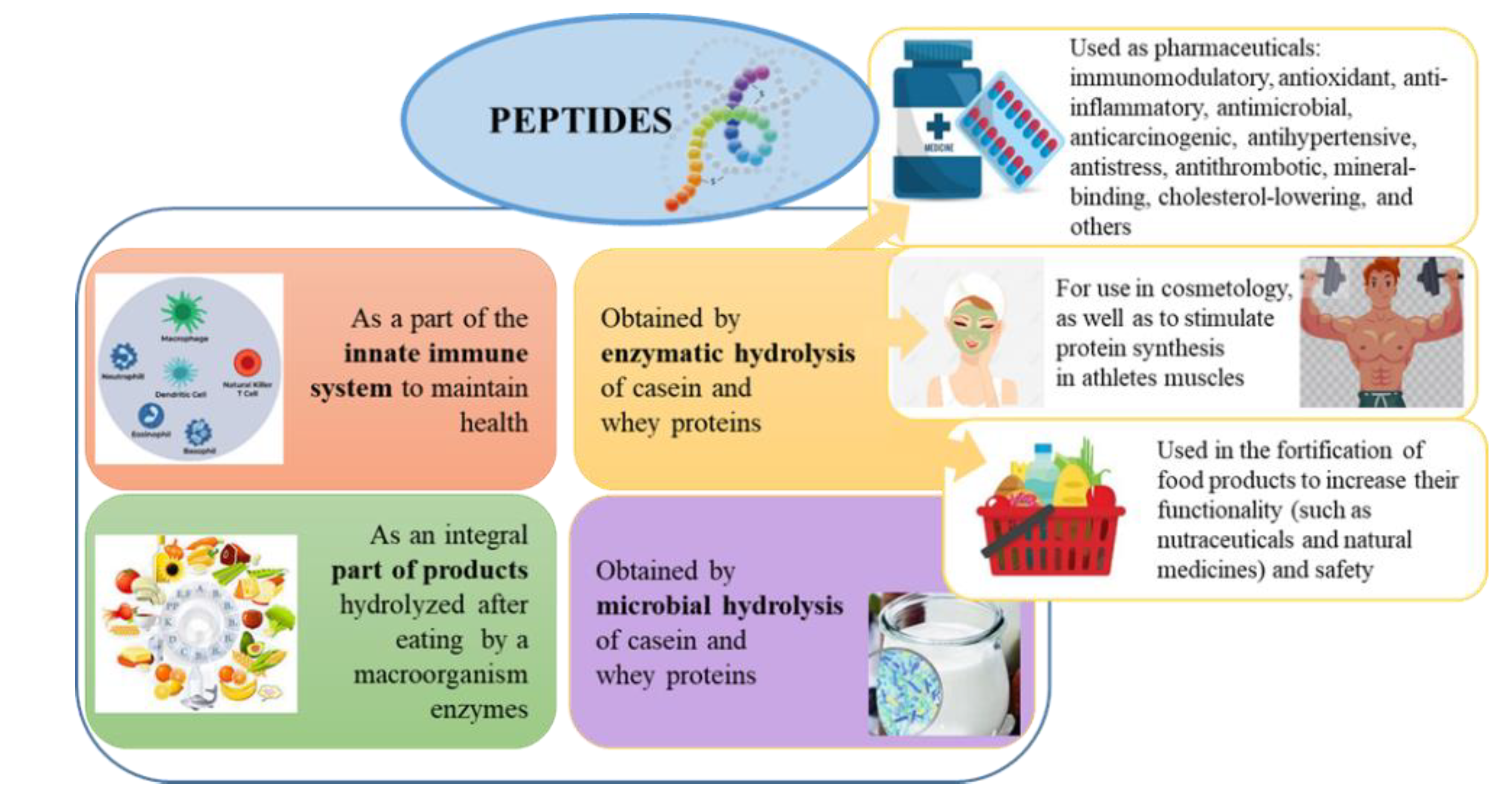 Preprints 108686 g003