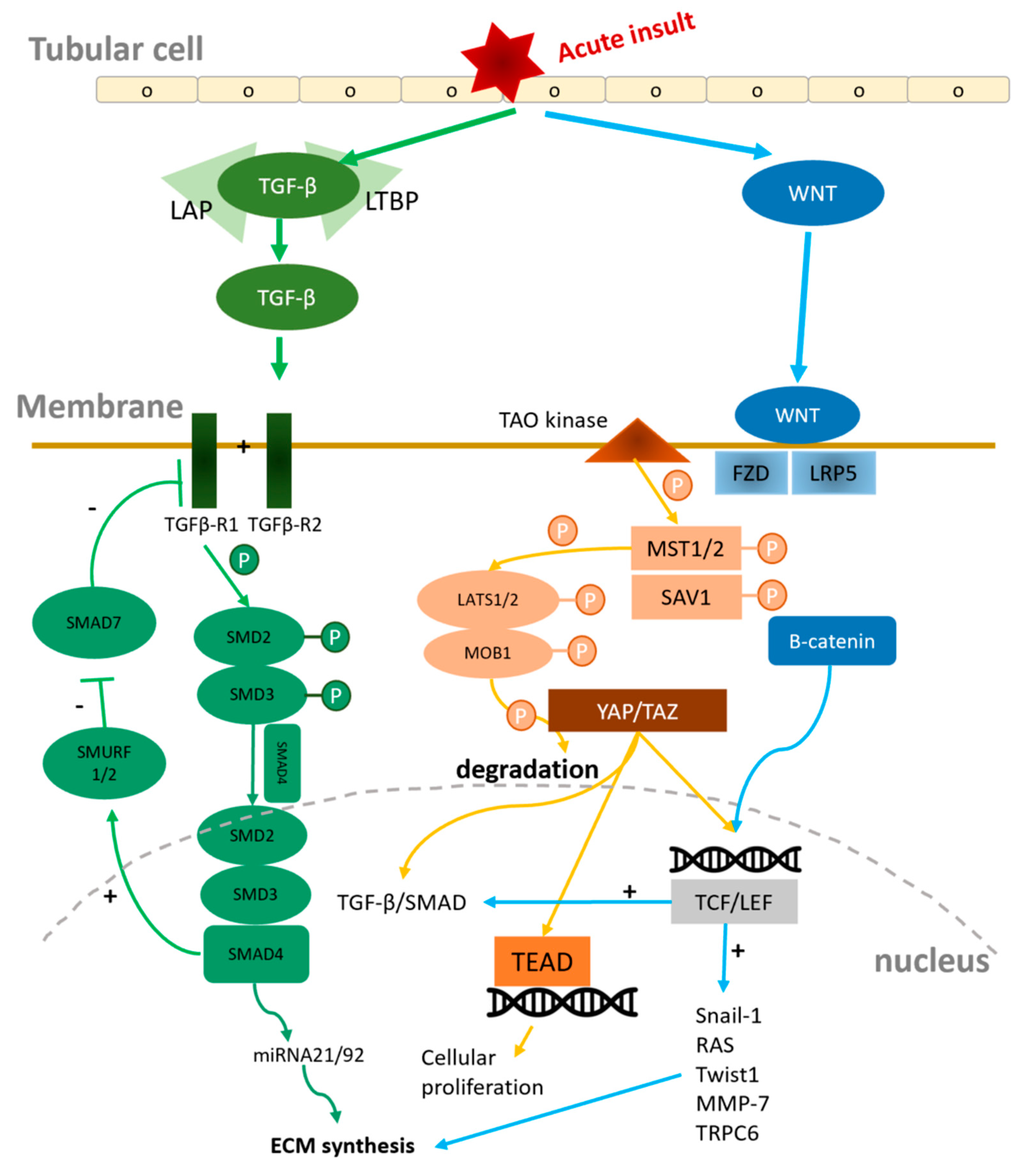 Preprints 95763 g002