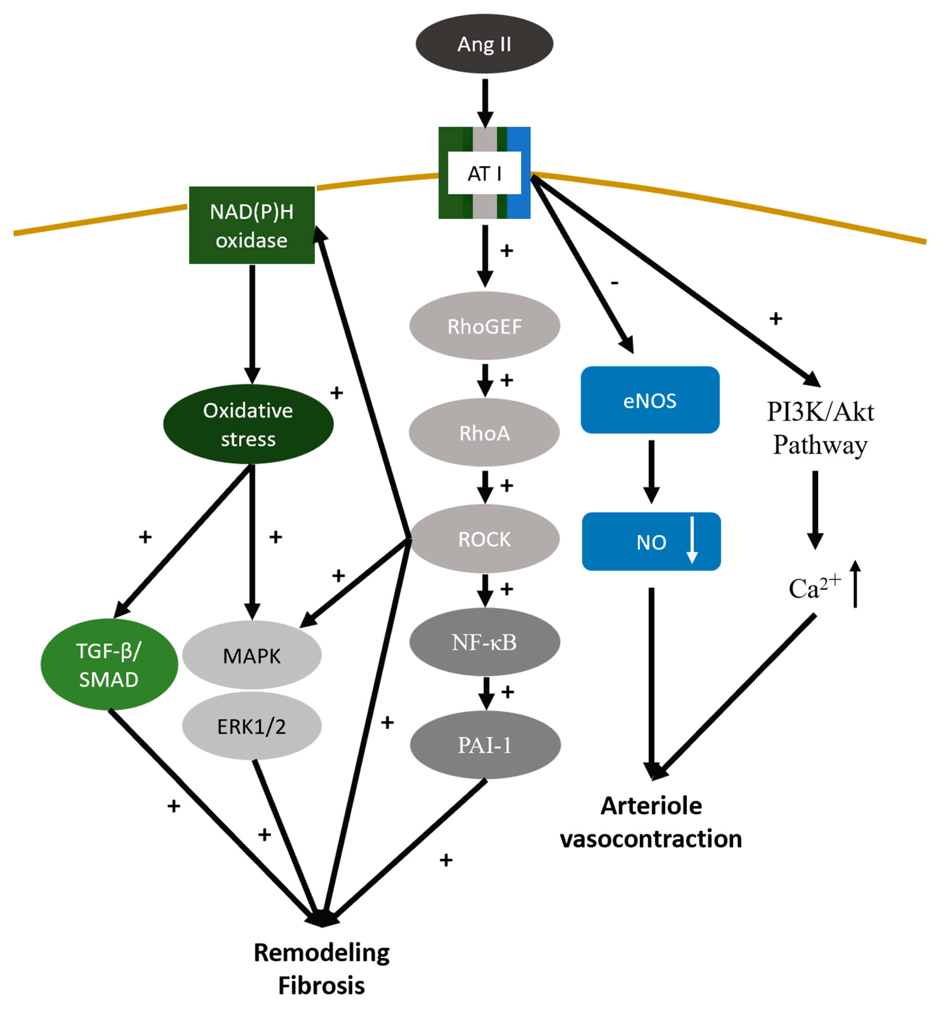 Preprints 95763 g003