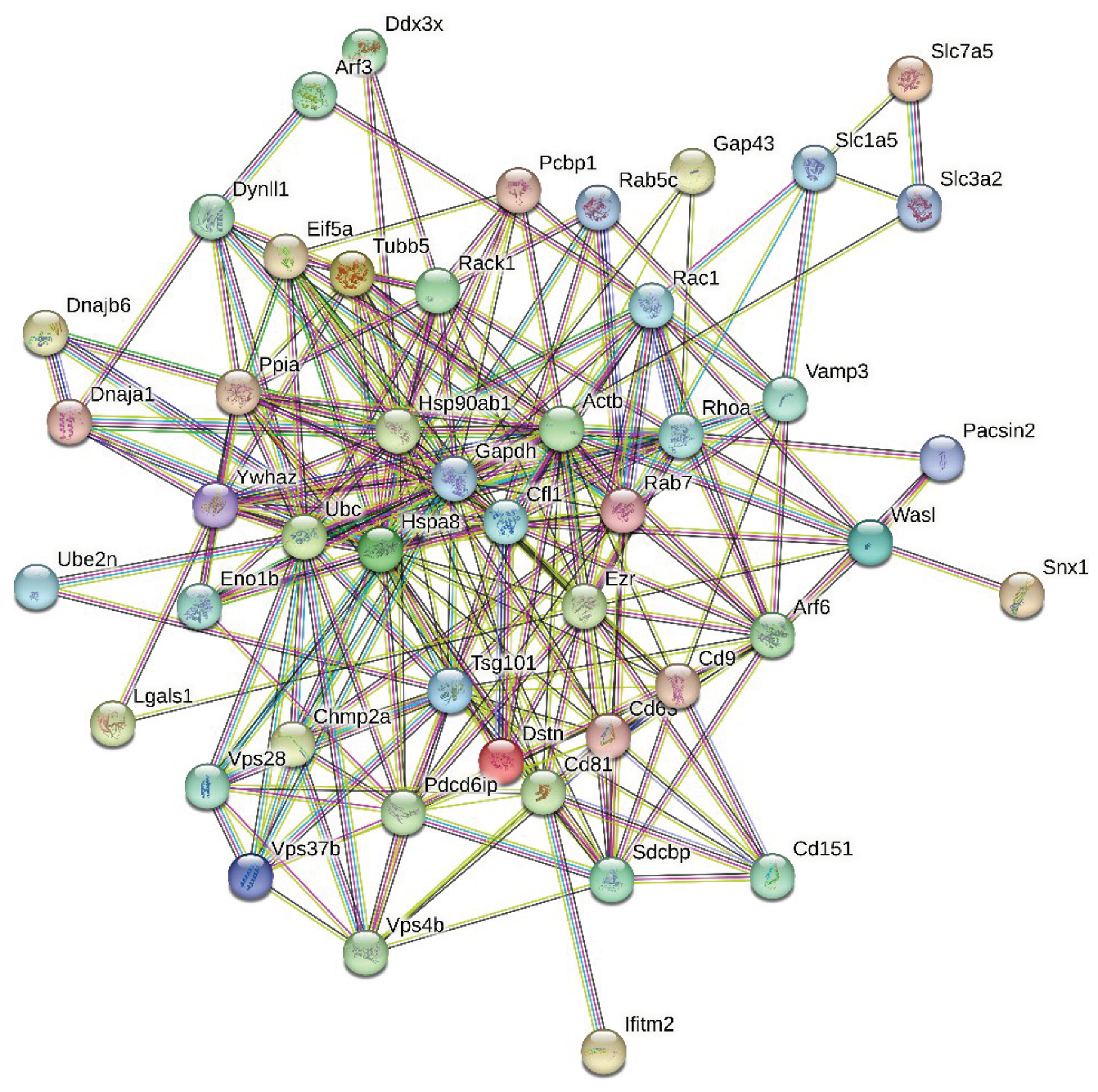 Preprints 101900 g002