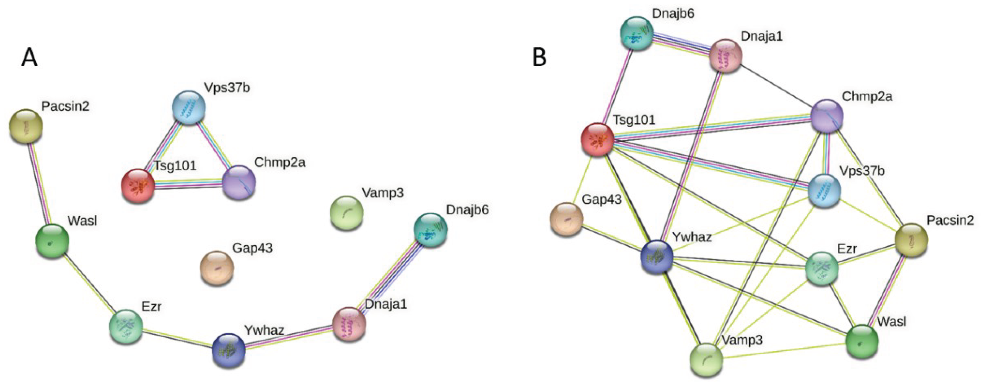 Preprints 101900 g011