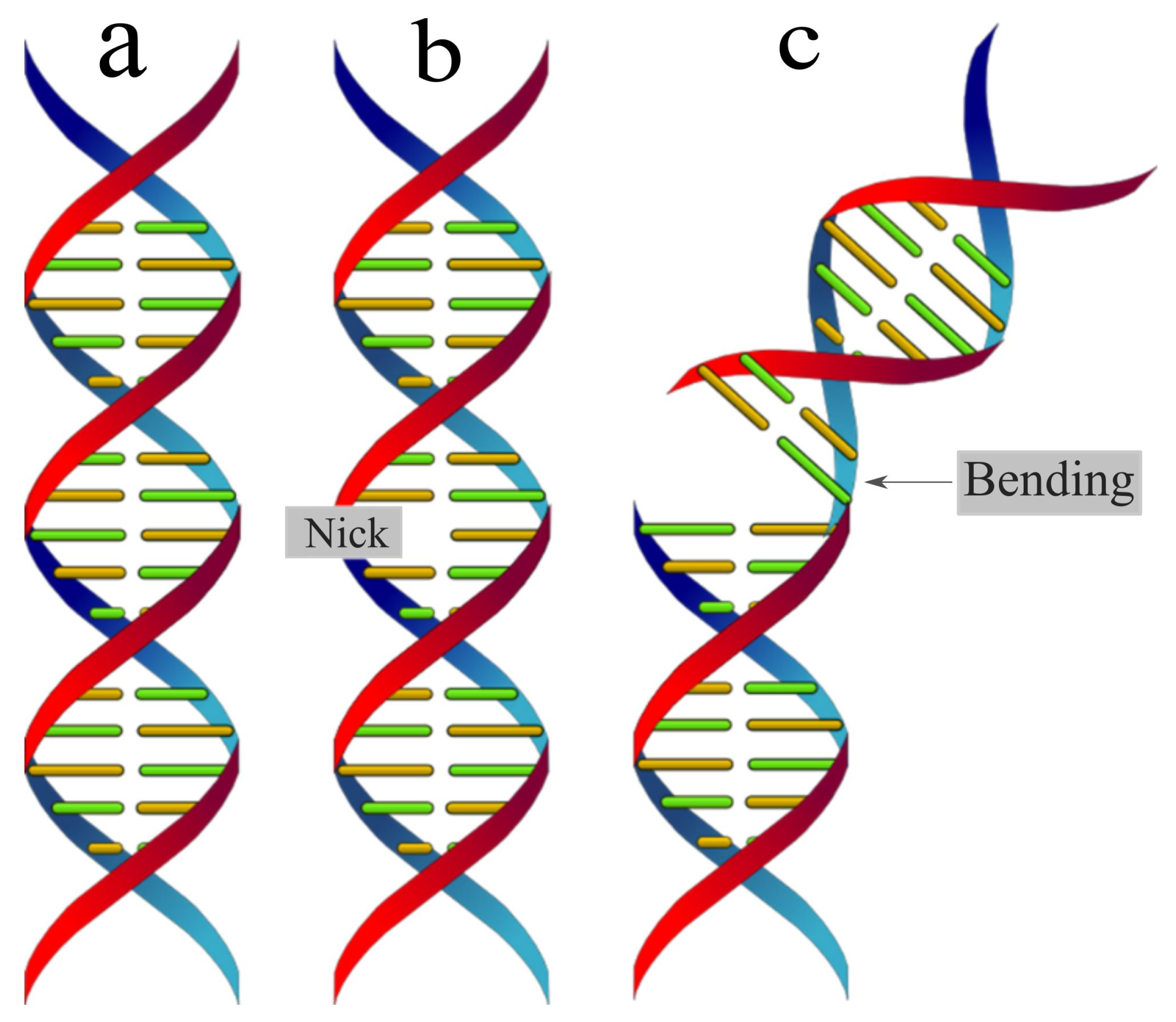 Preprints 86302 g001