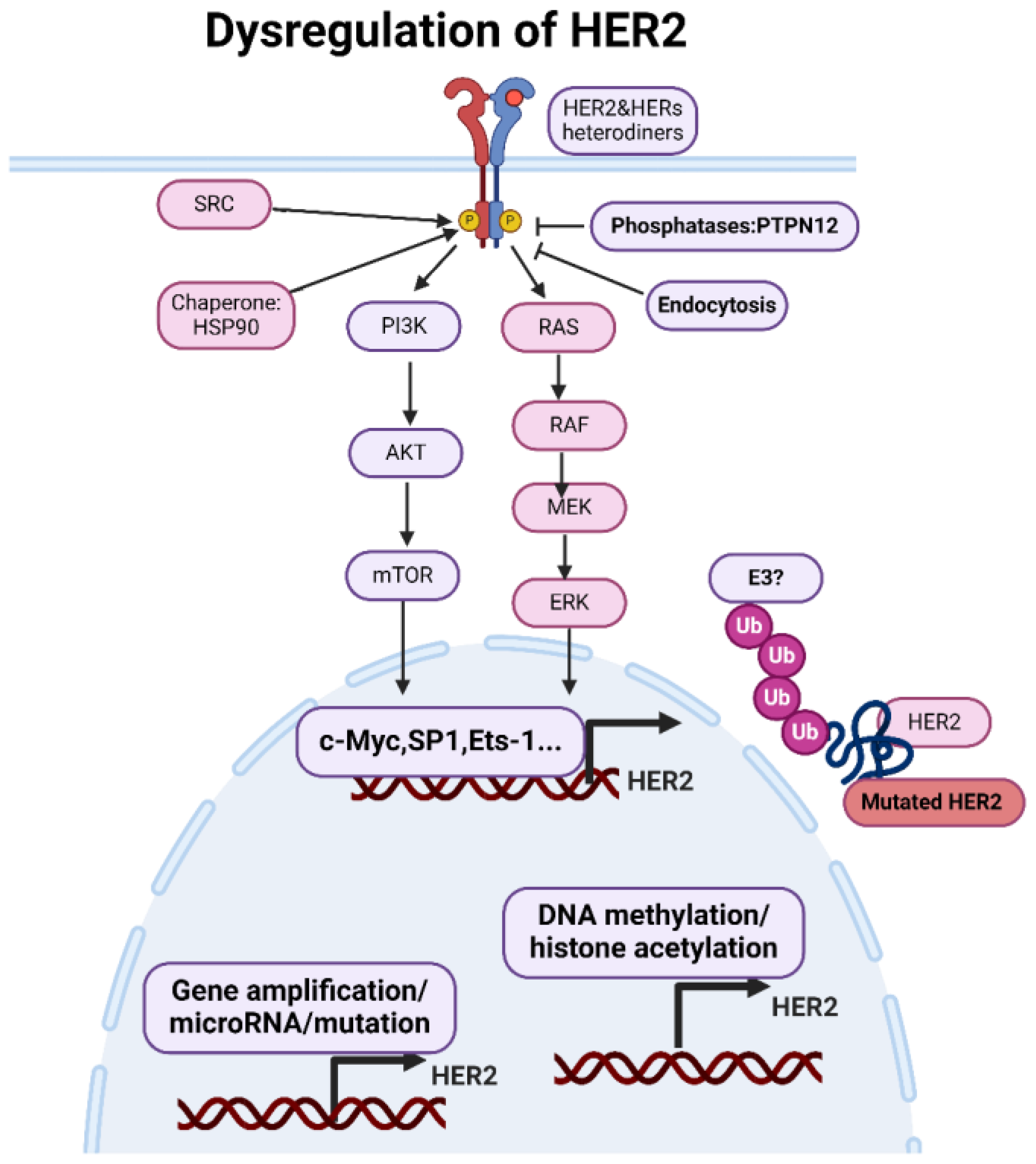 Preprints 108606 g002