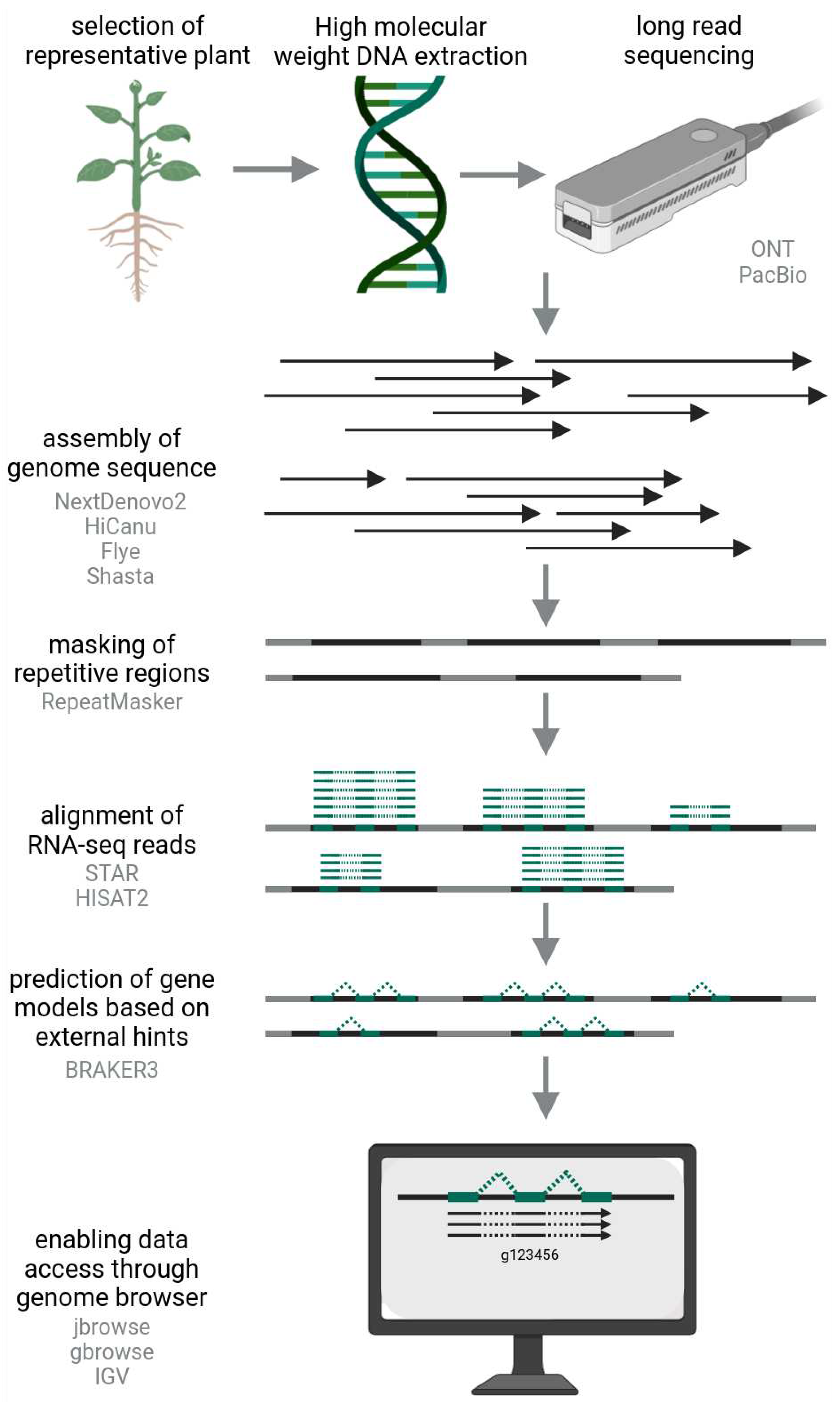 Preprints 98686 g001