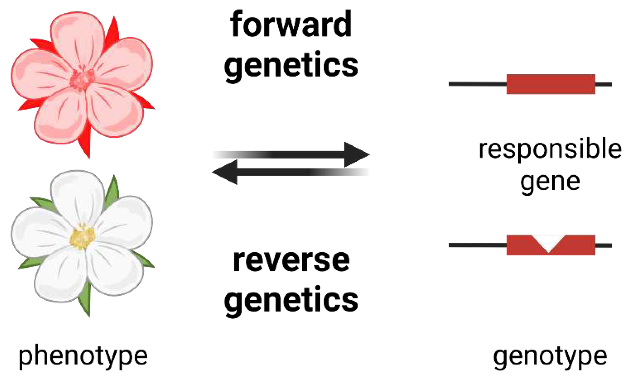 Preprints 98686 g002