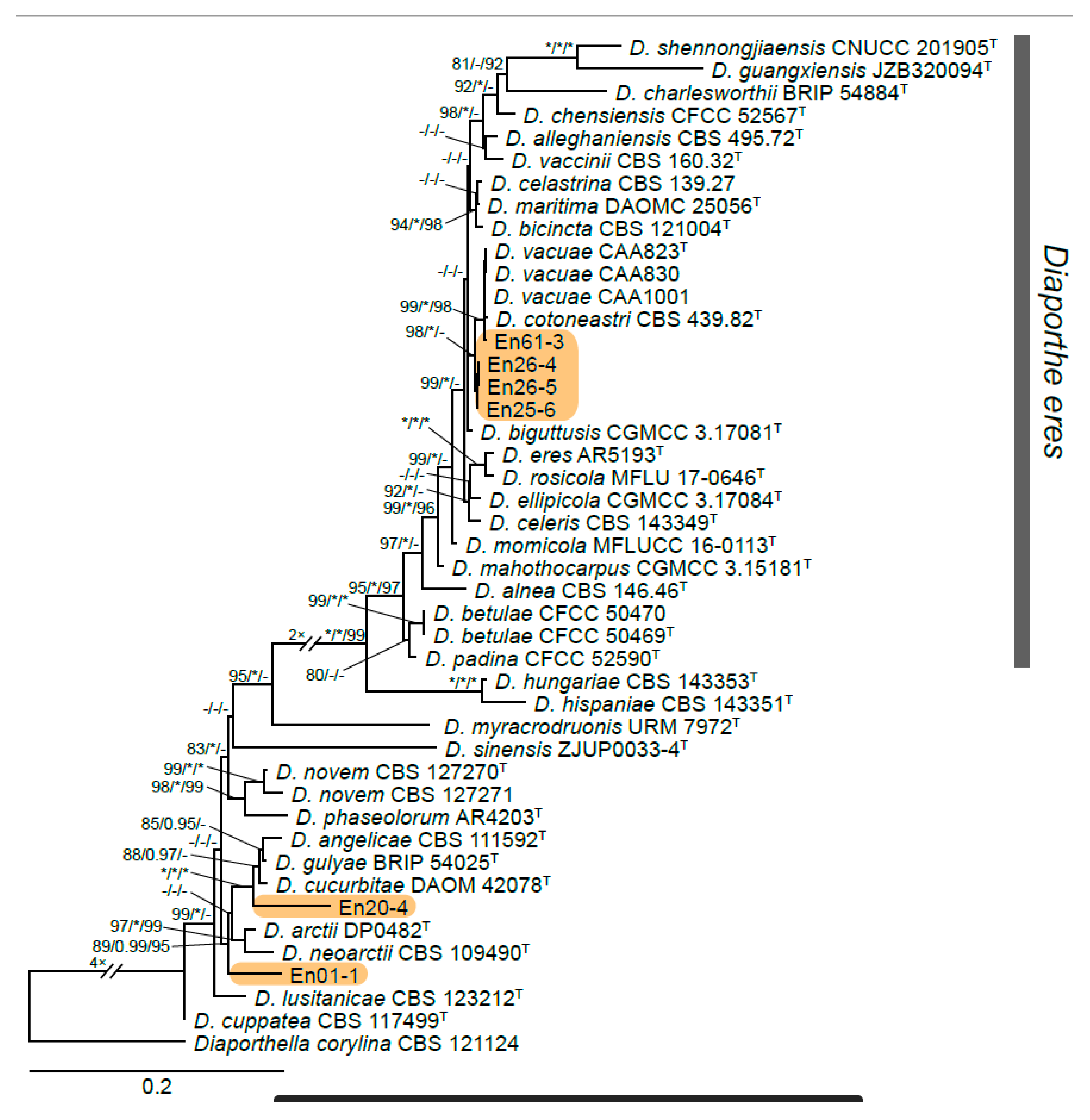 Preprints 92672 g001