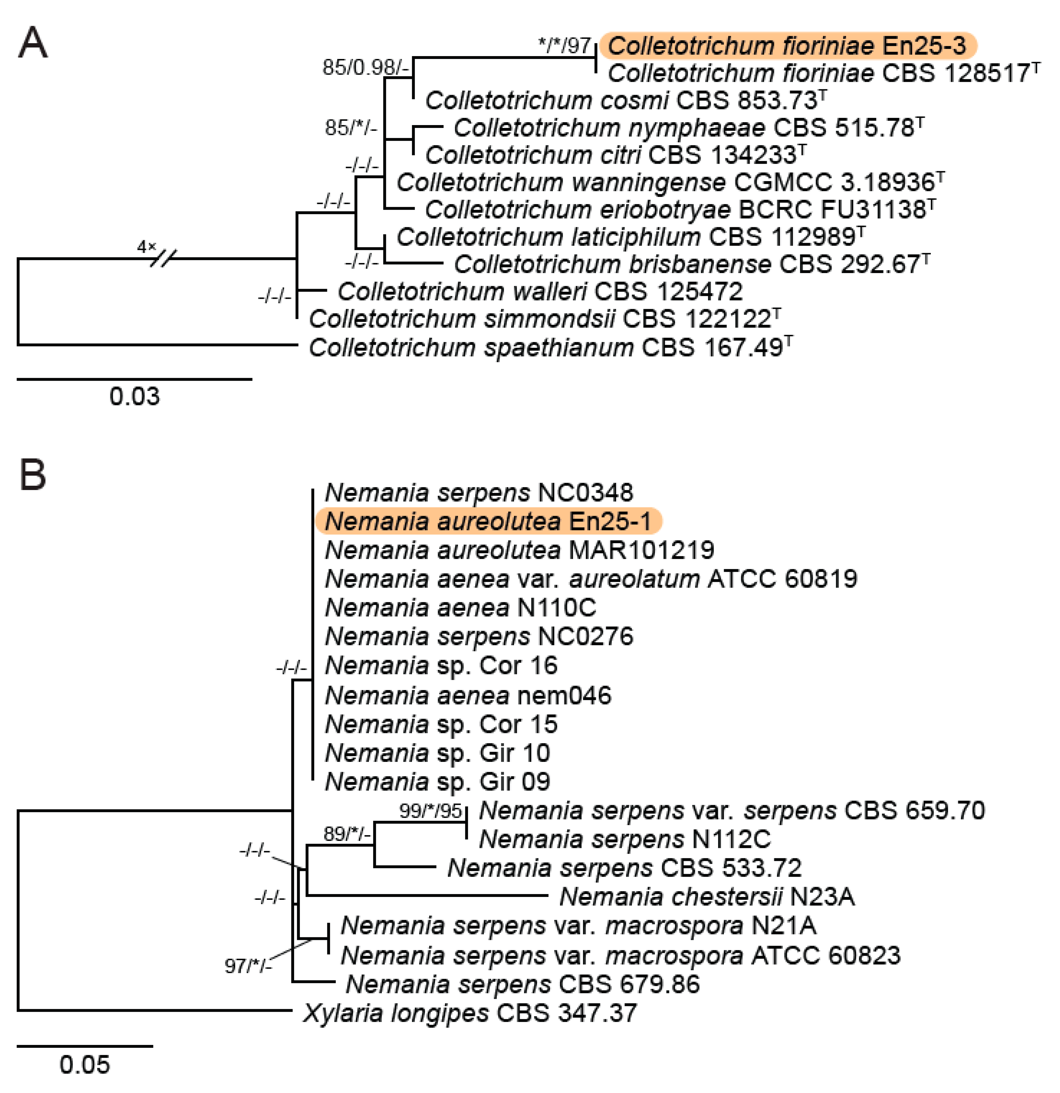 Preprints 92672 g005