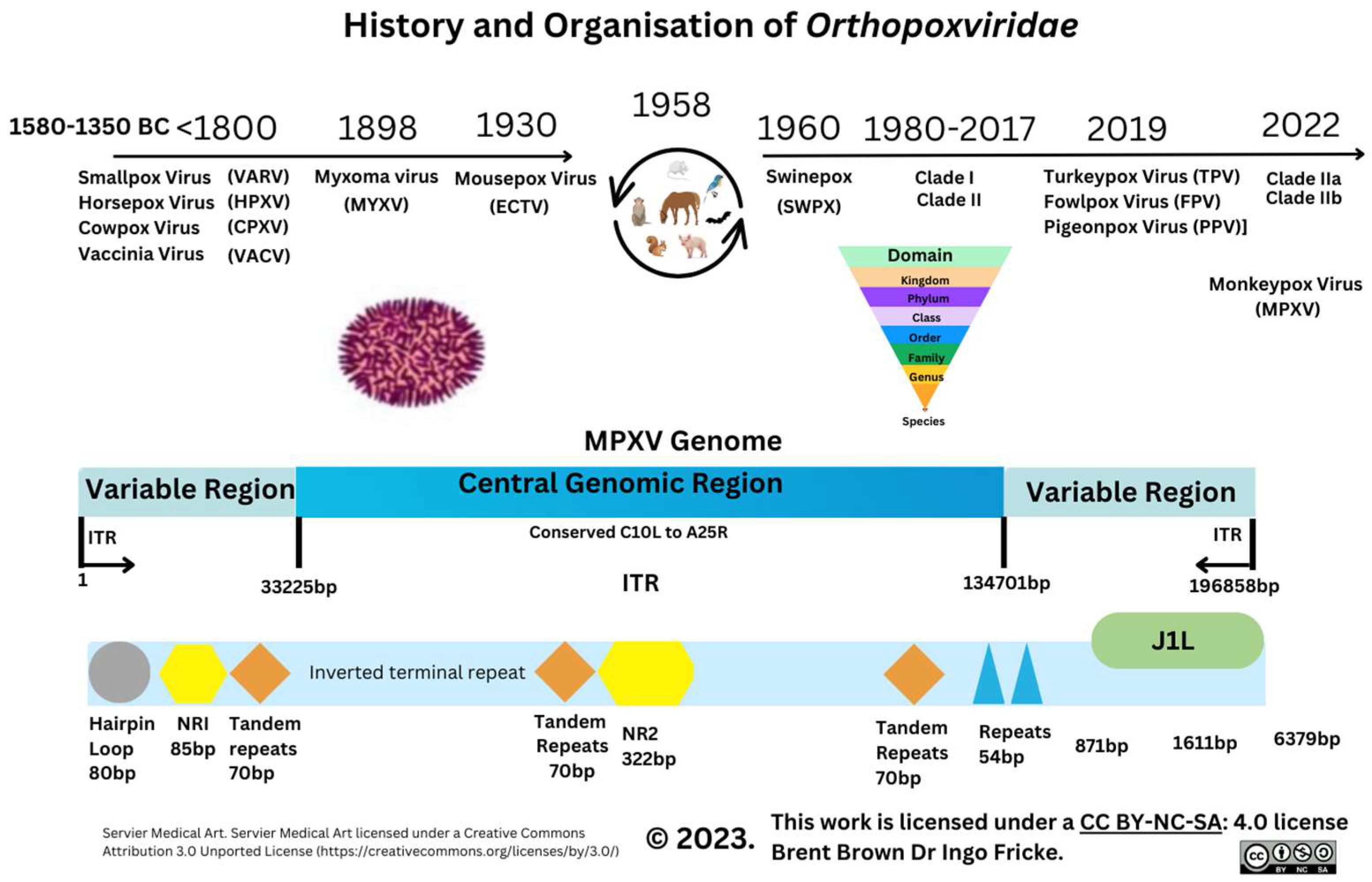 Preprints 84742 g001