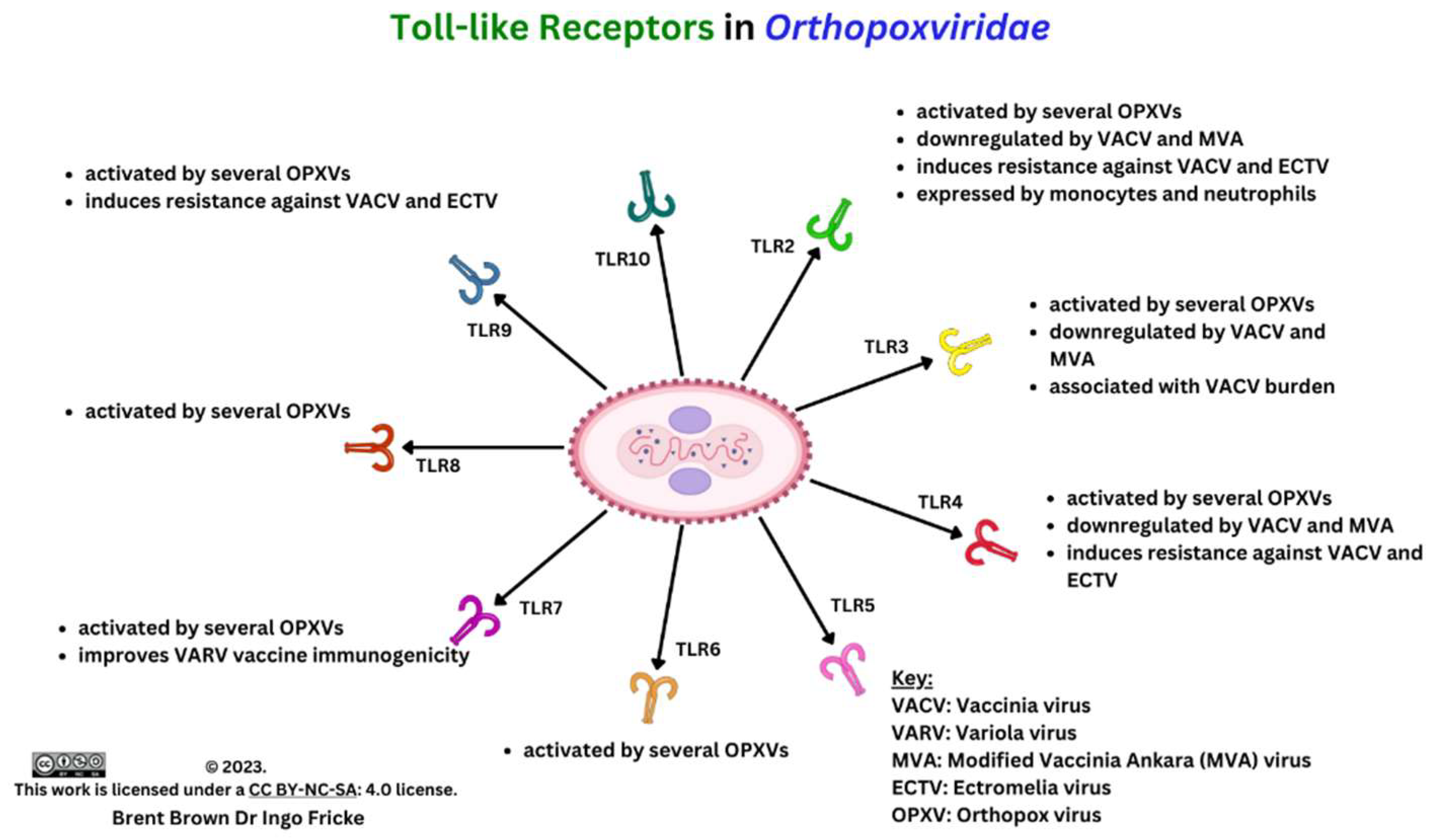 Preprints 84742 g003