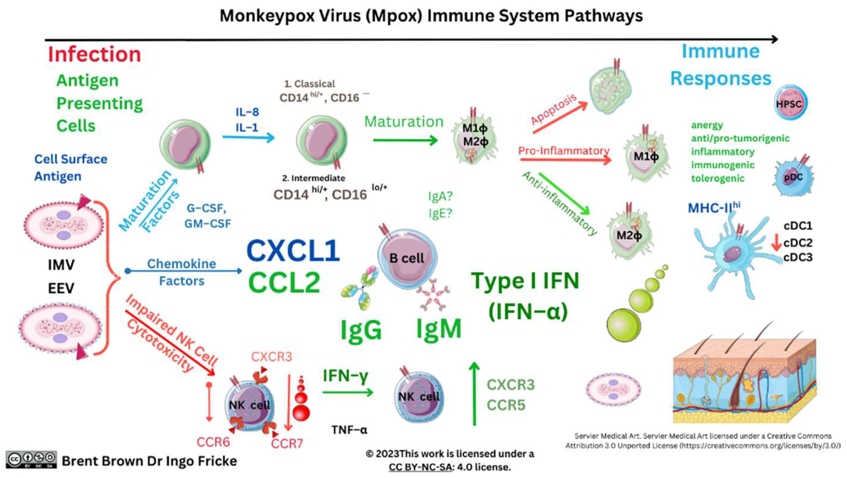 Preprints 84742 g004