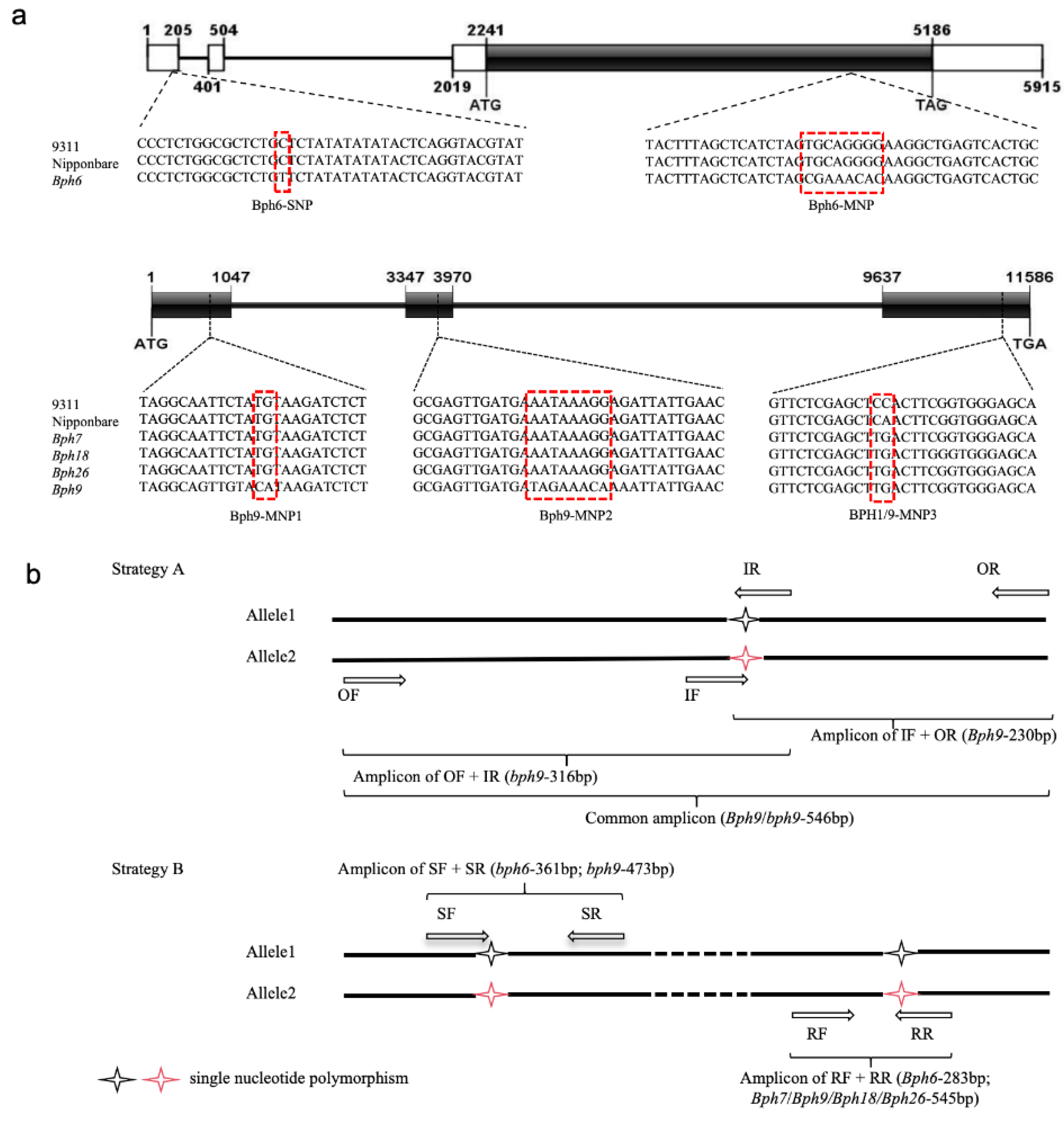 Preprints 102329 g001