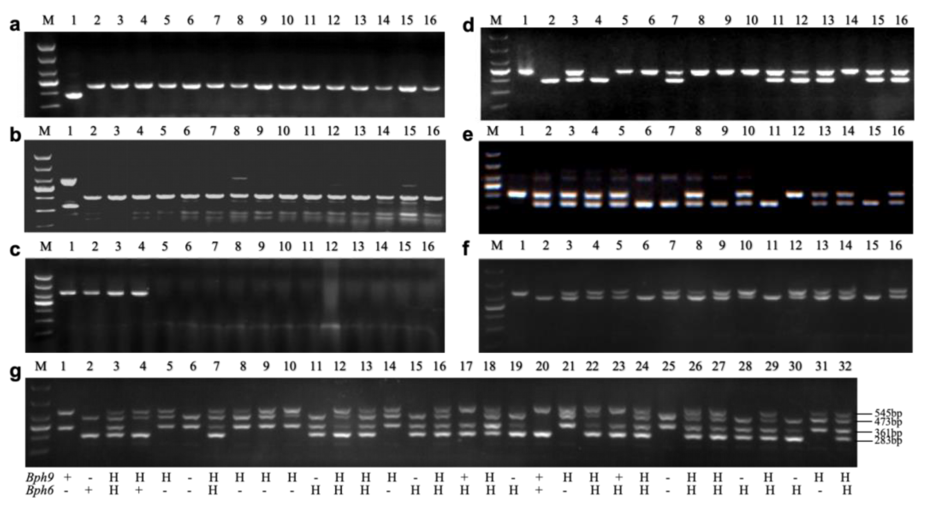 Preprints 102329 g002