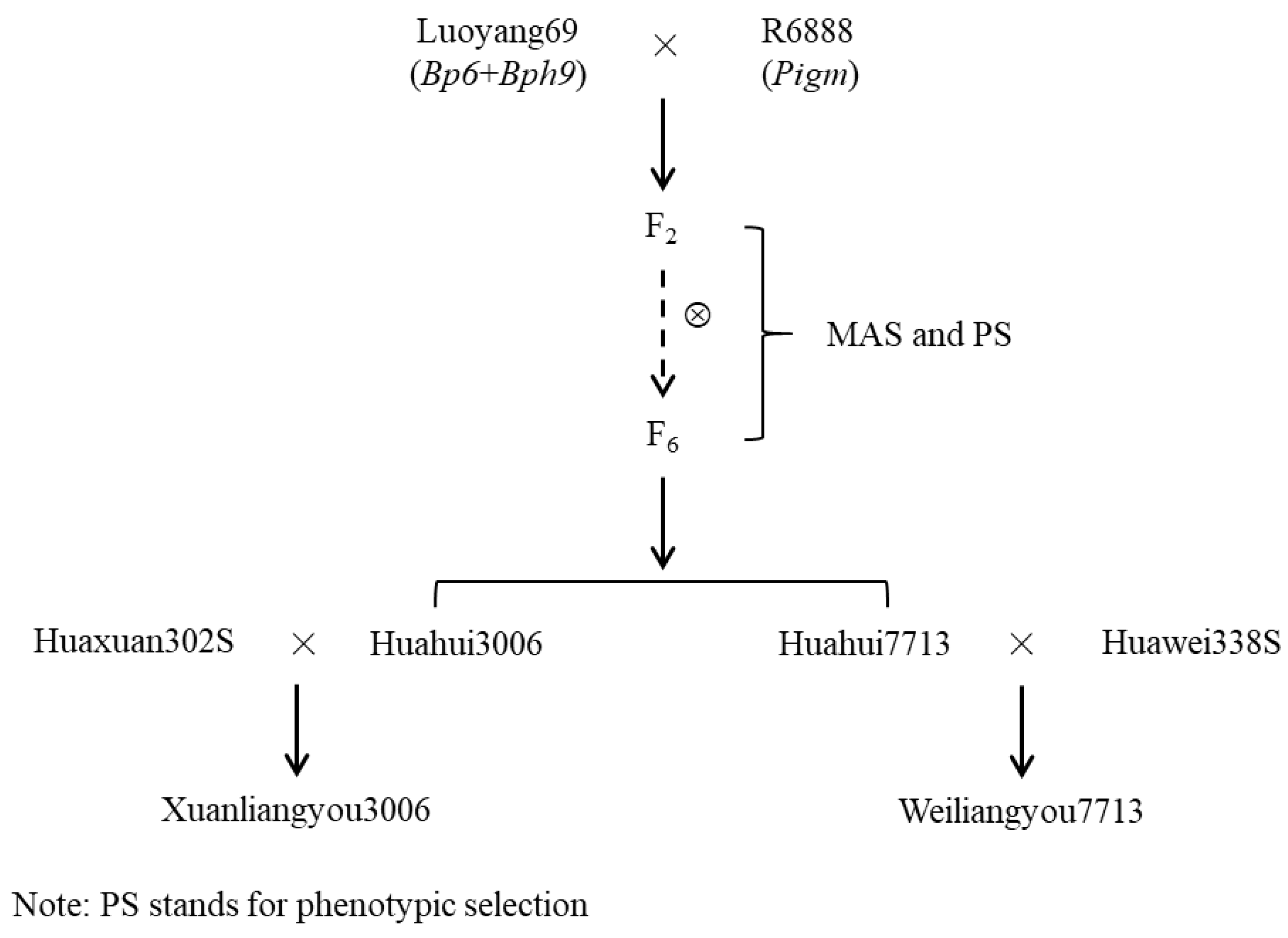 Preprints 102329 g003