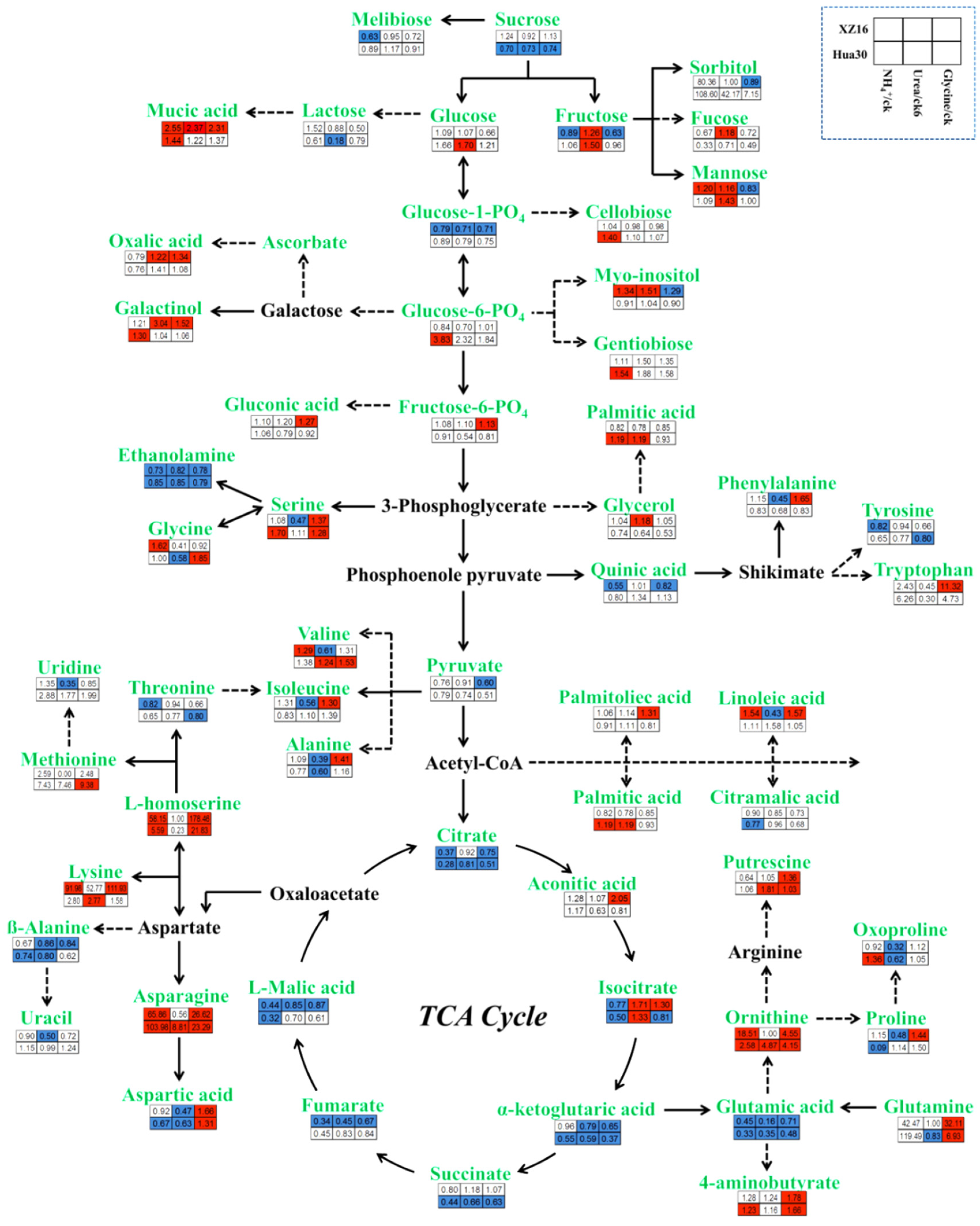 Preprints 99111 g004