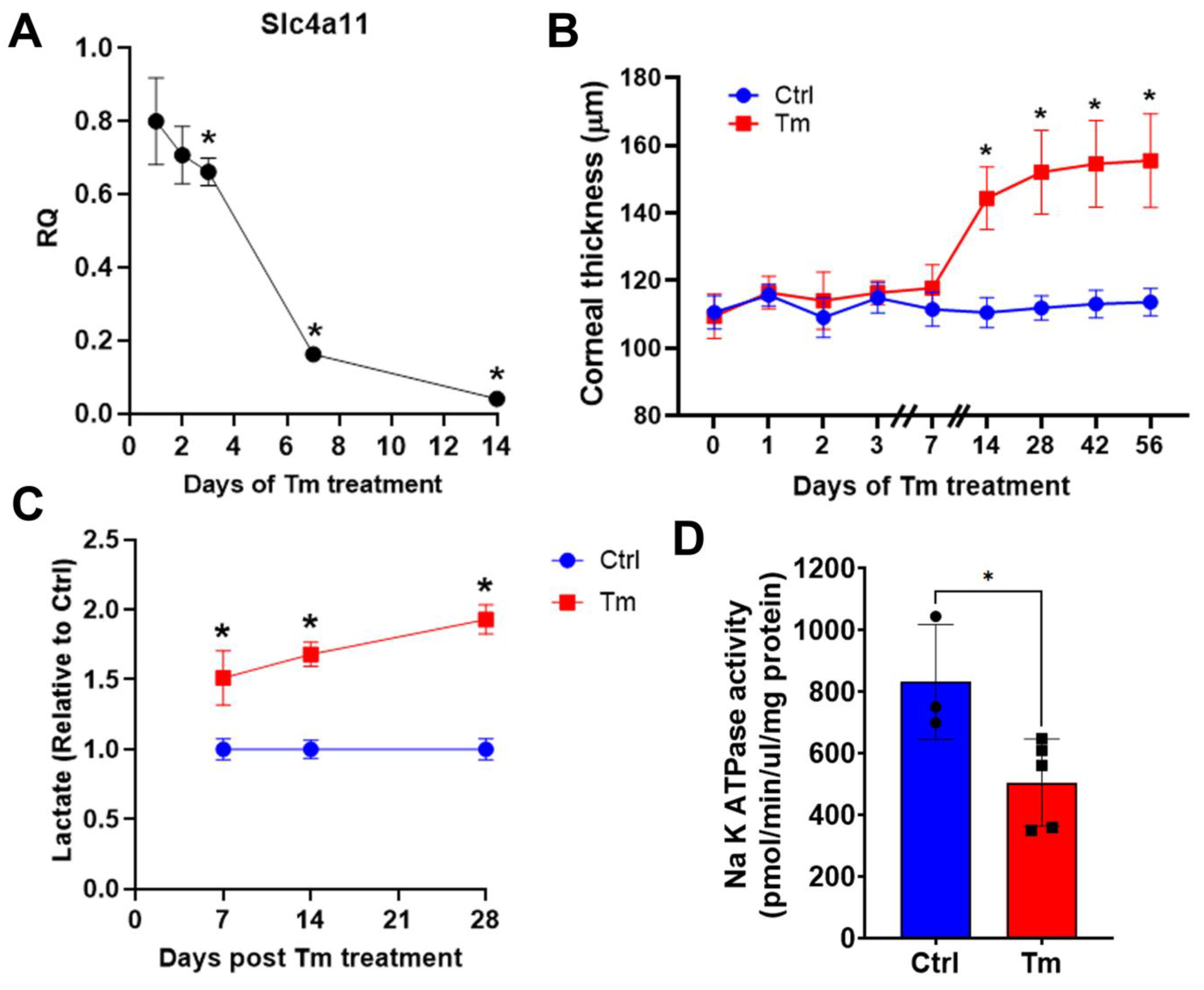 Preprints 73343 g001