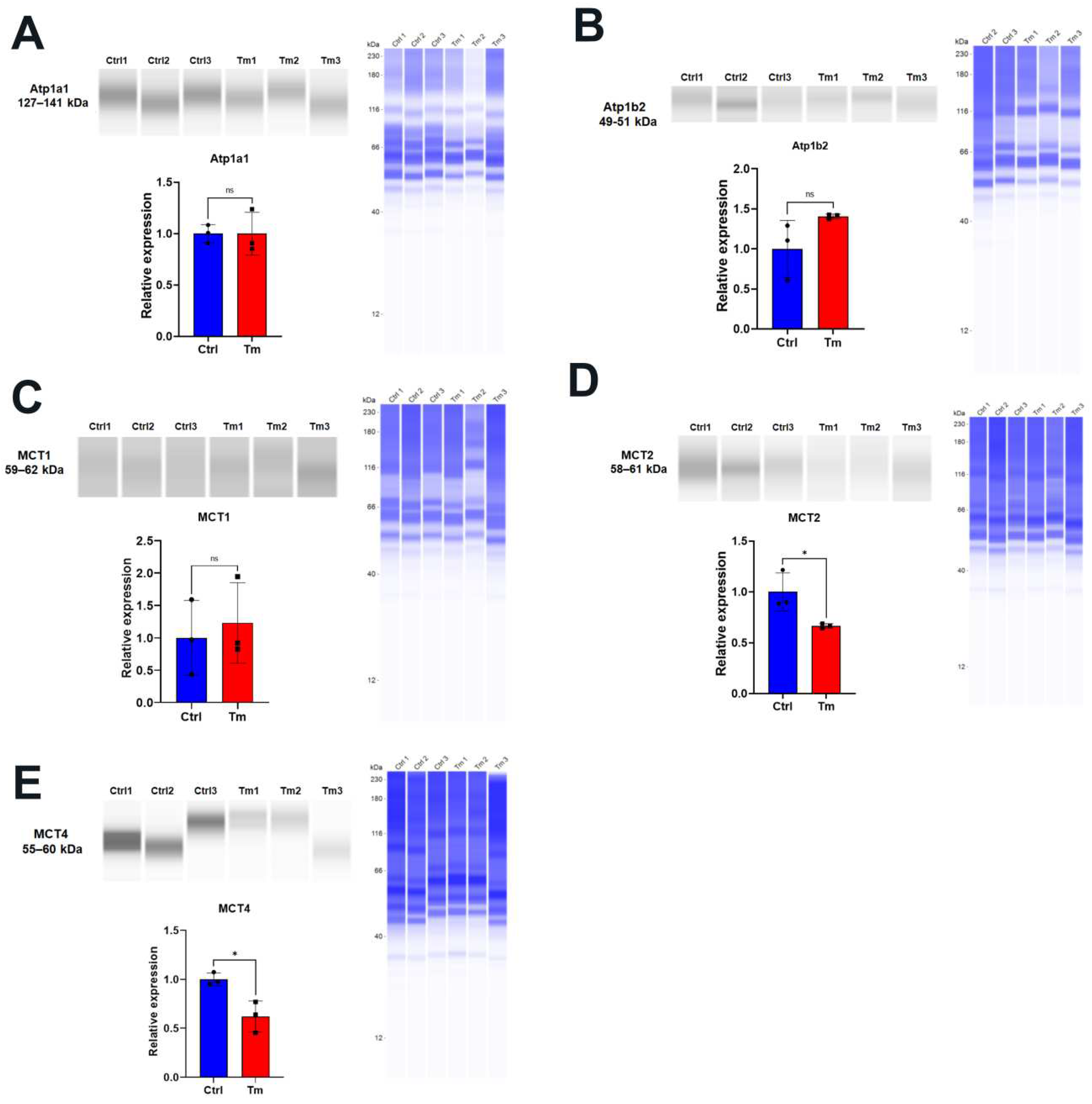 Preprints 73343 g002