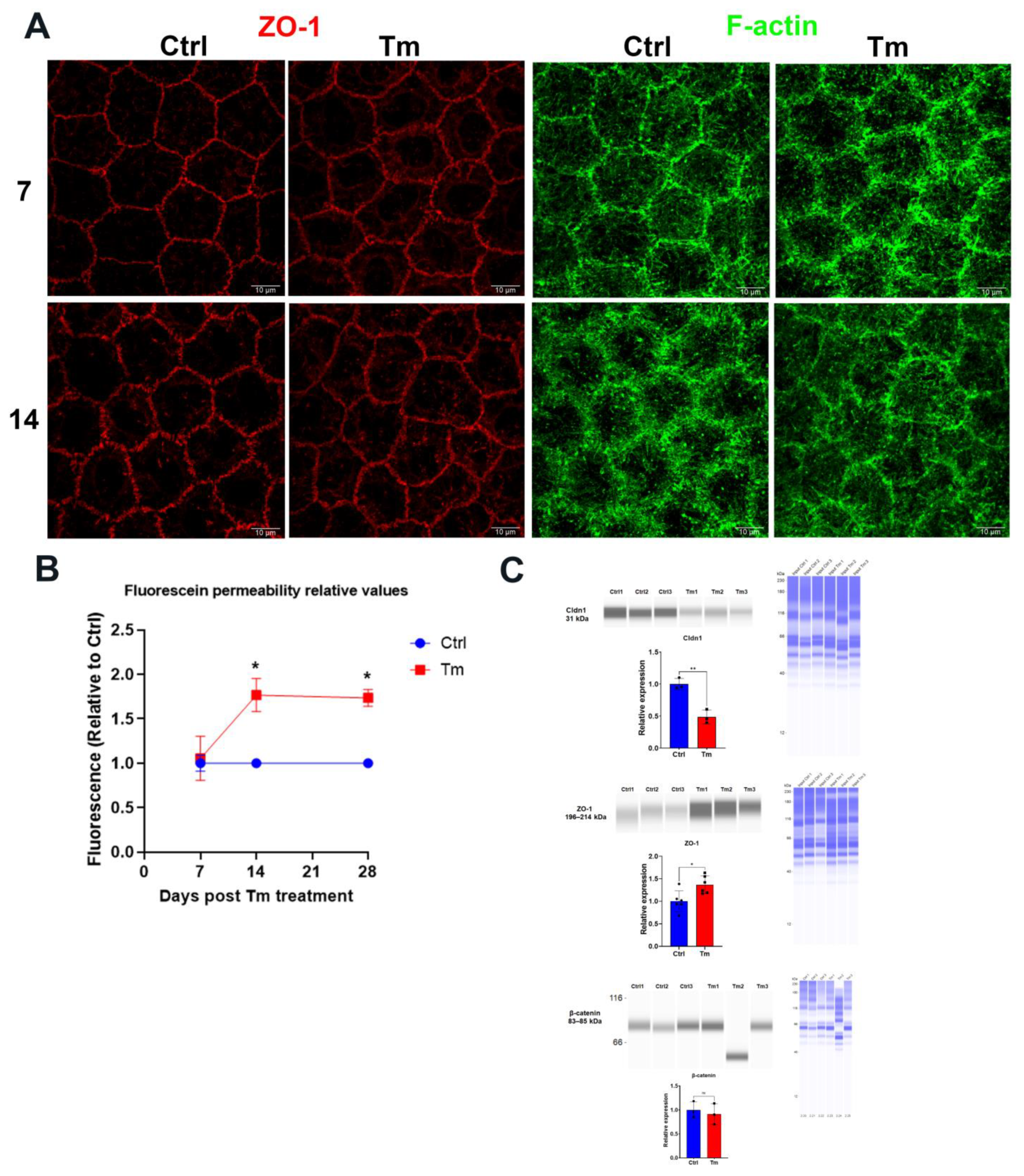 Preprints 73343 g003