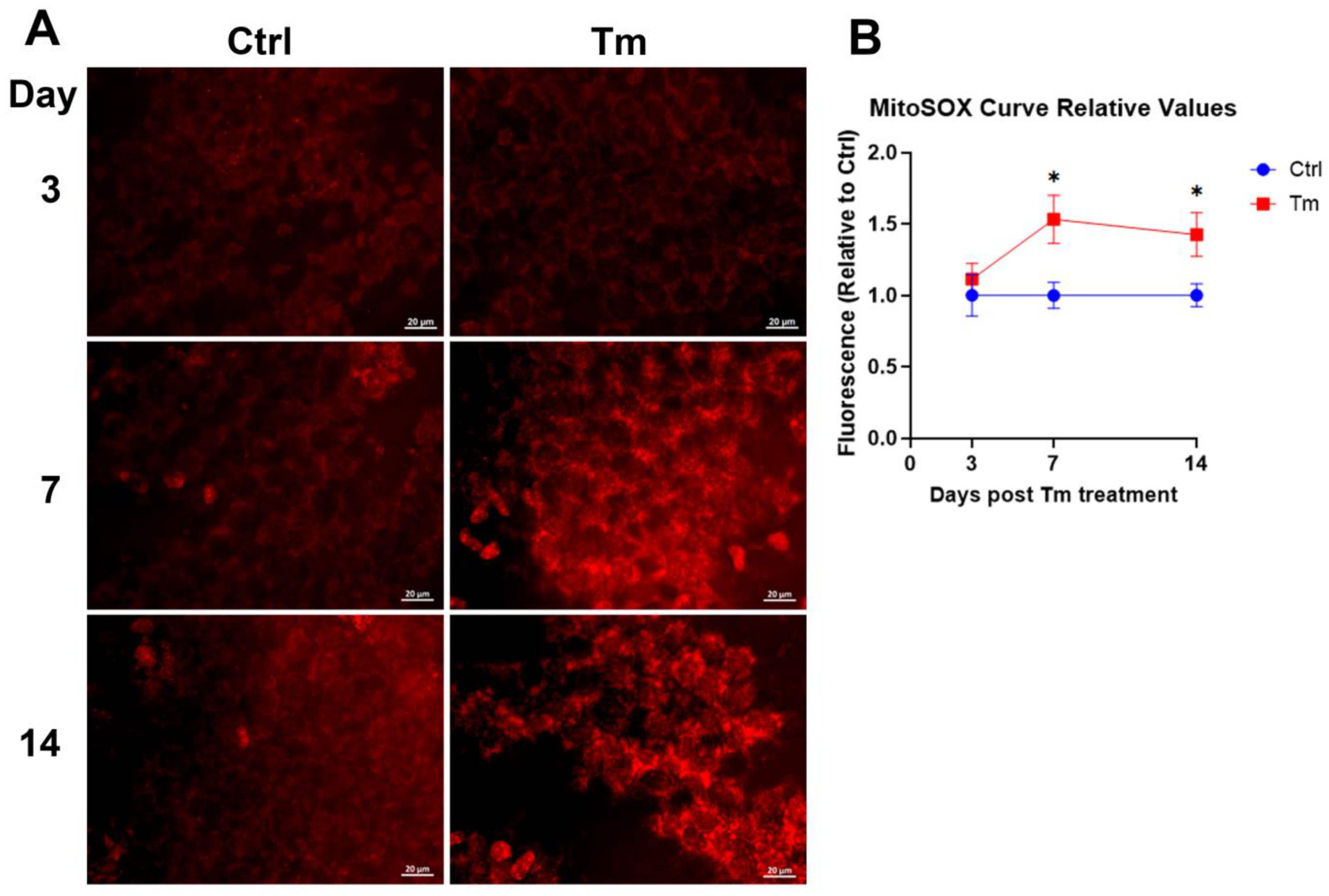 Preprints 73343 g004