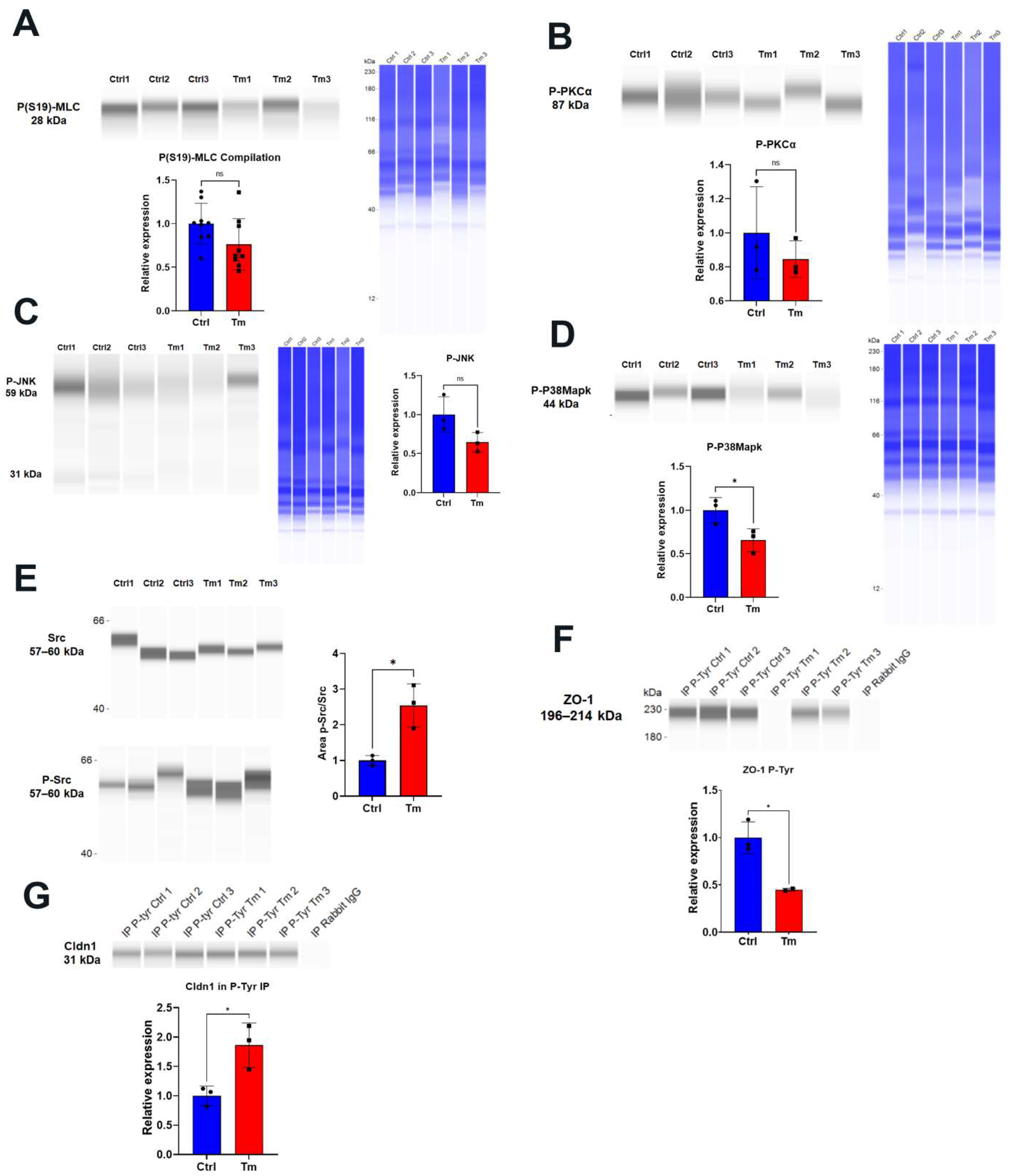 Preprints 73343 g005