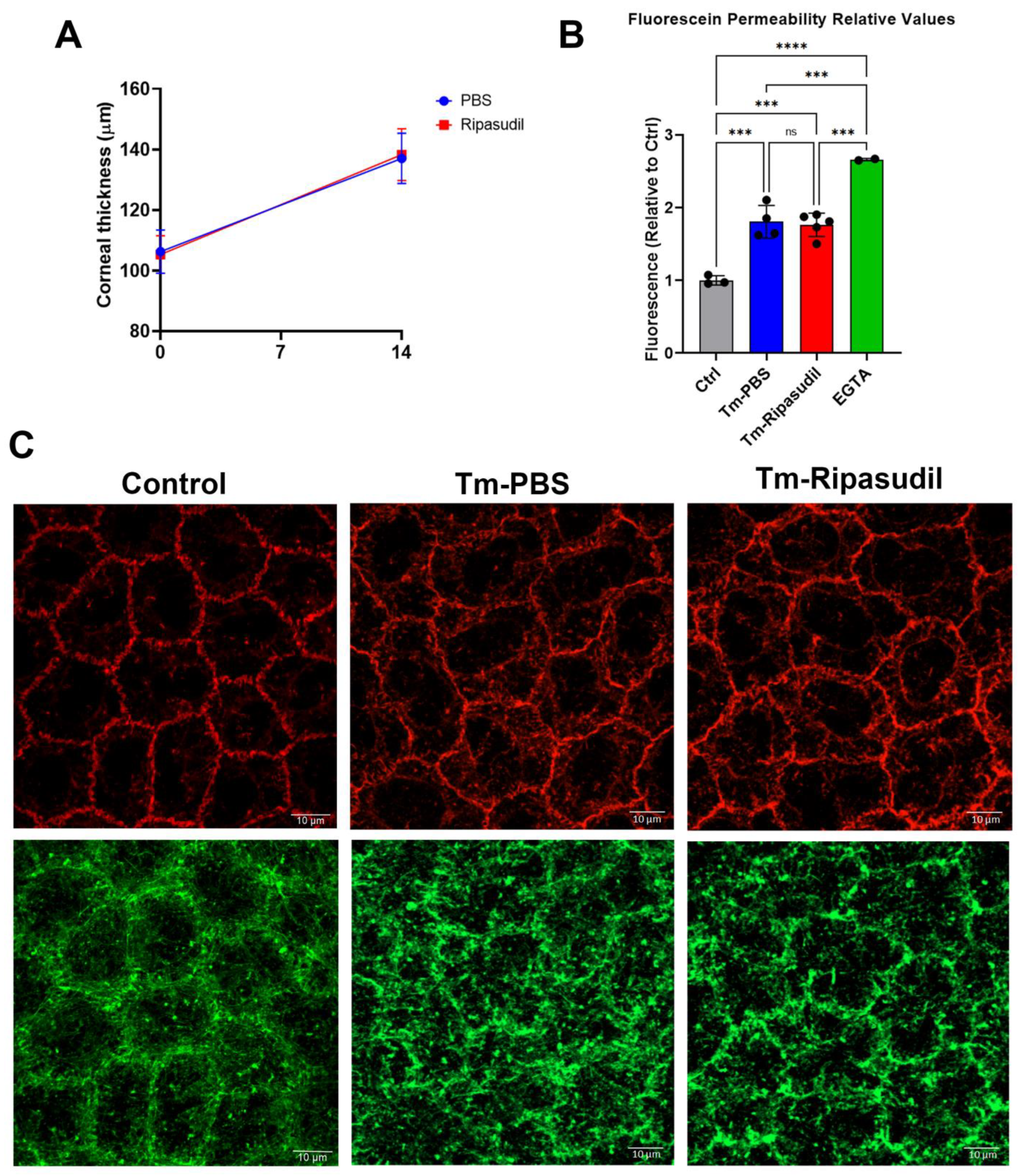 Preprints 73343 g006