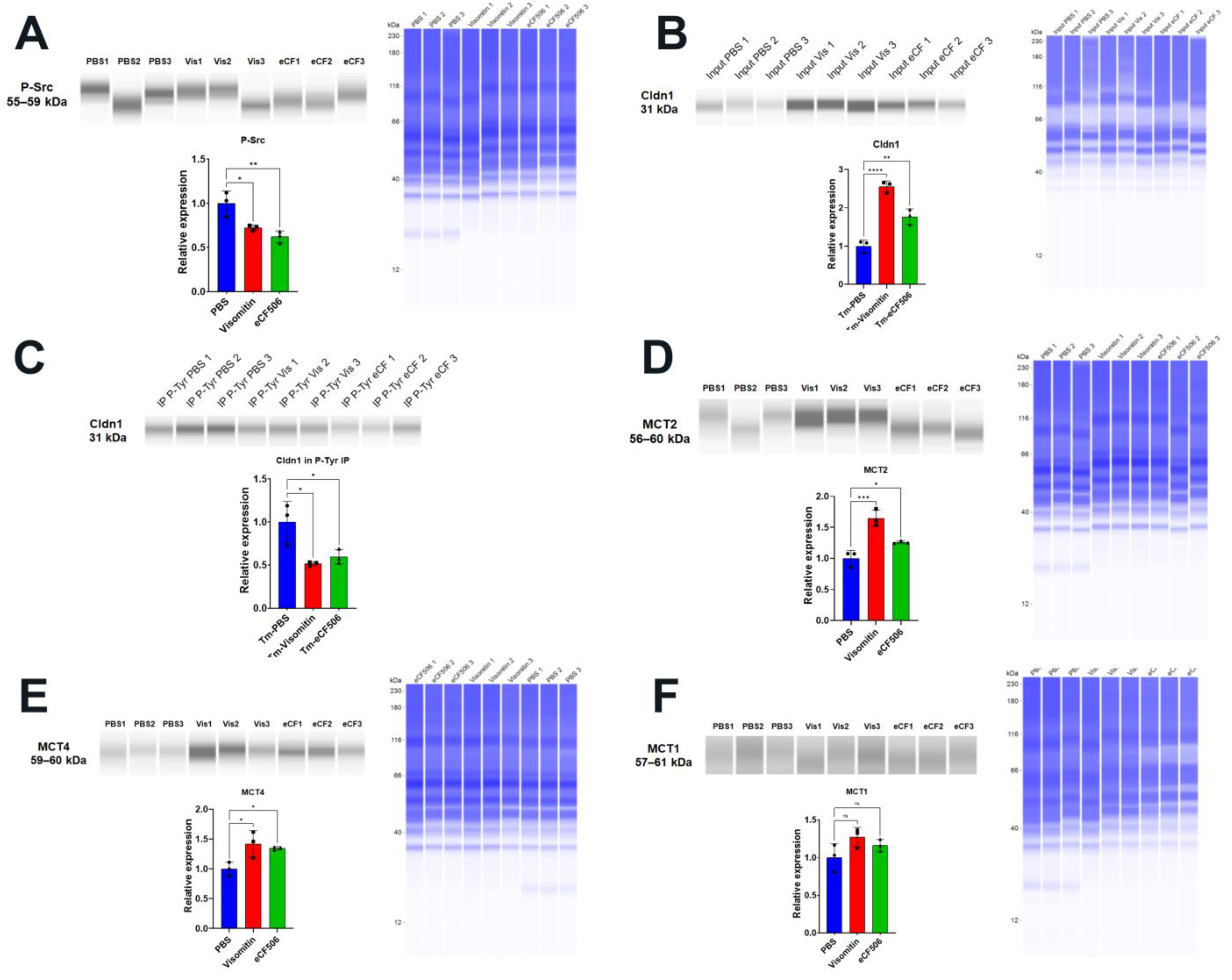 Preprints 73343 g008