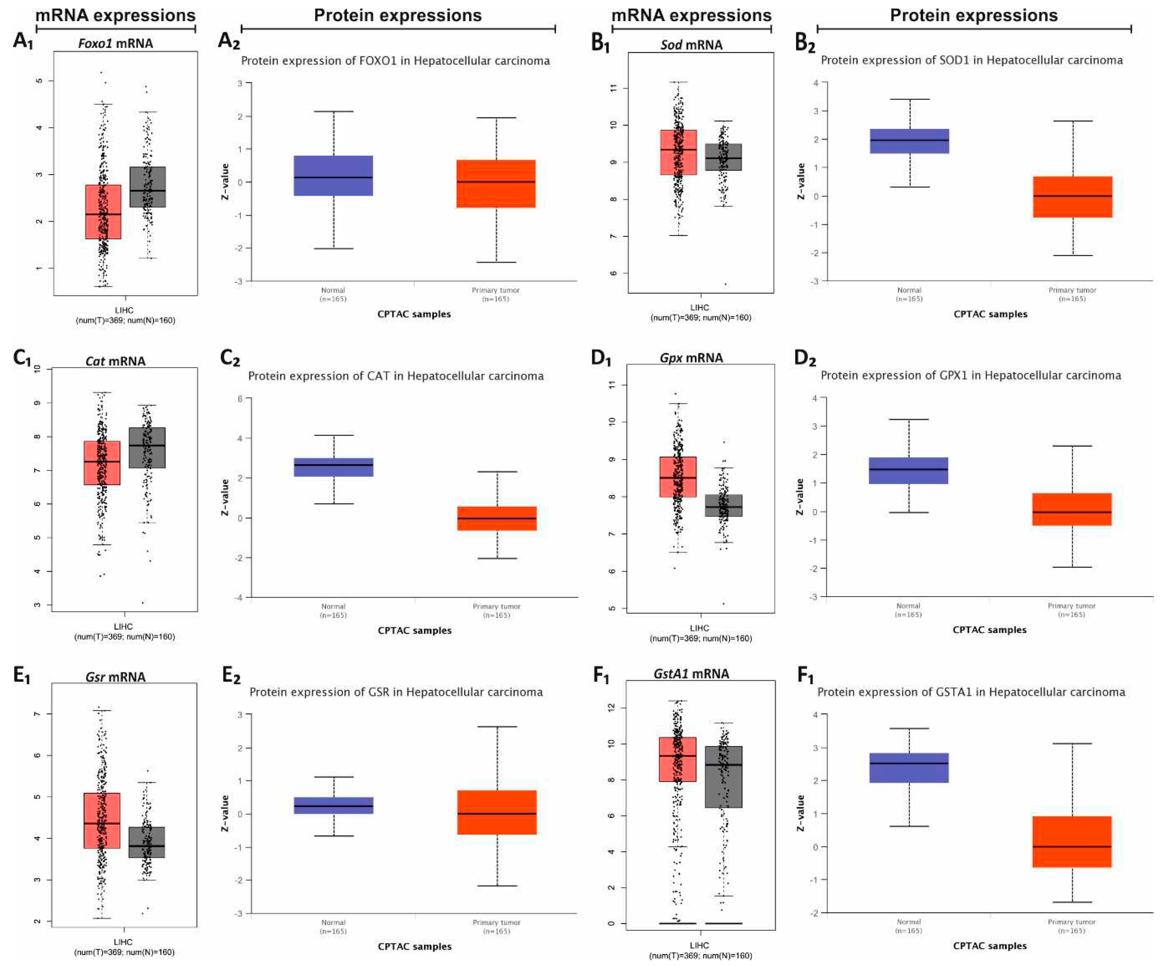 Preprints 86676 g006