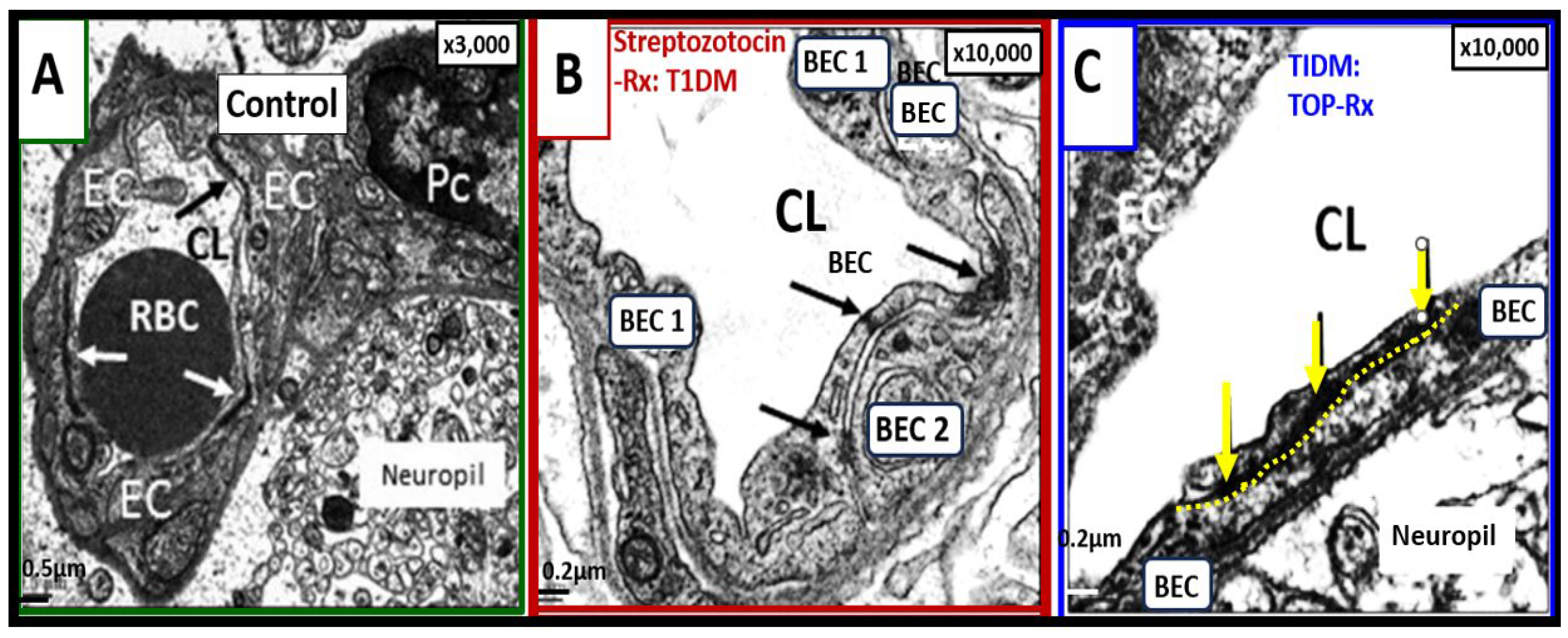 Preprints 105927 g007