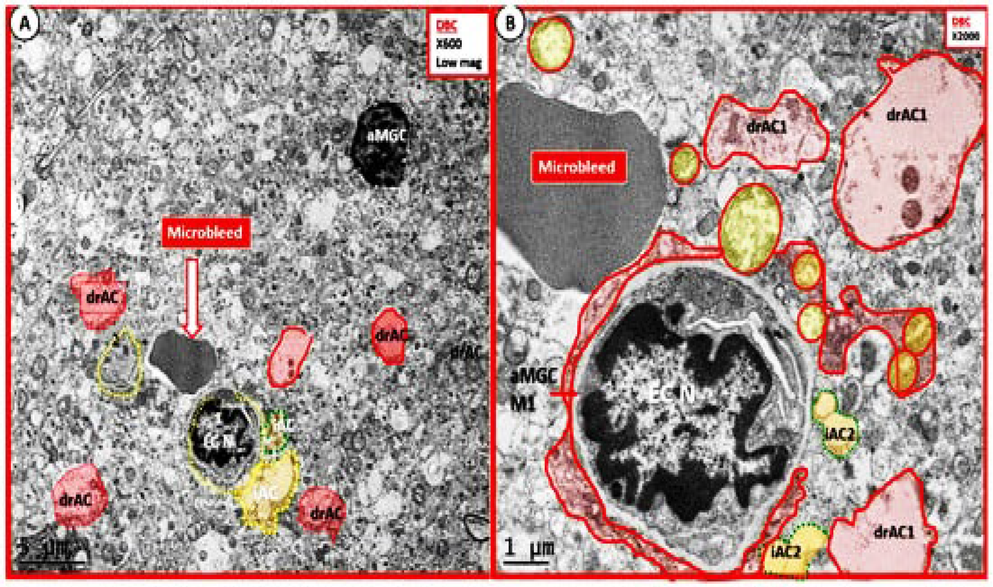 Preprints 105927 g010