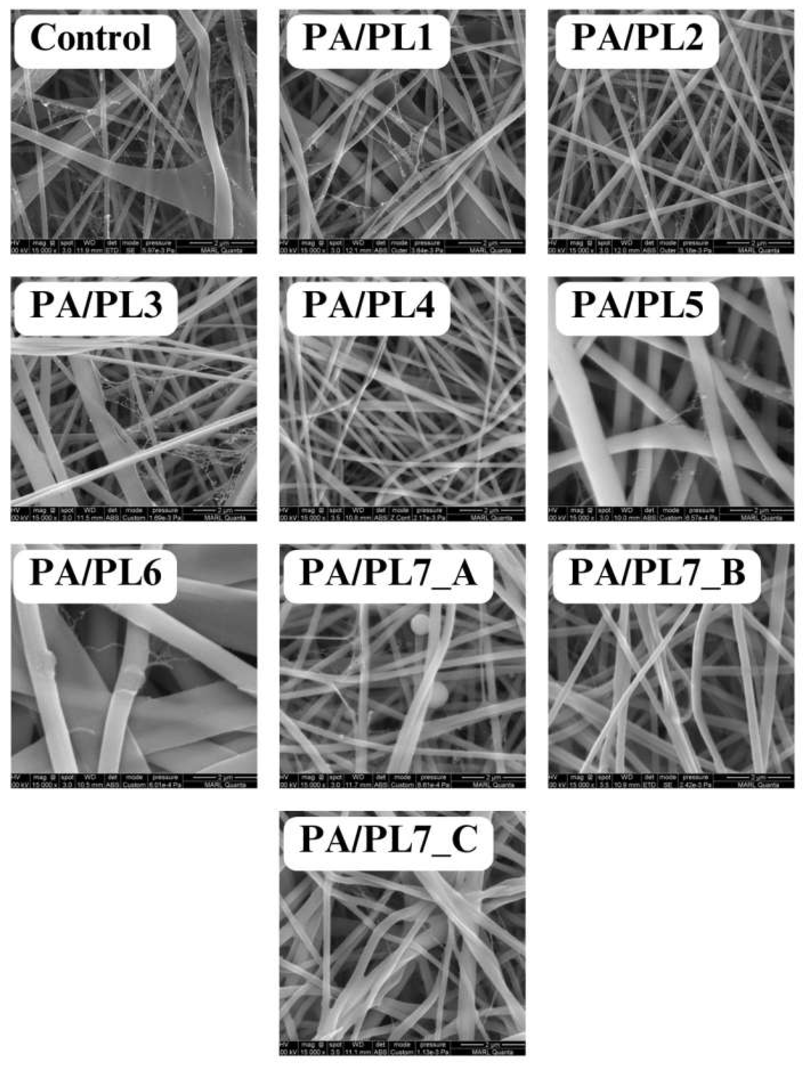 Preprints 108078 g001