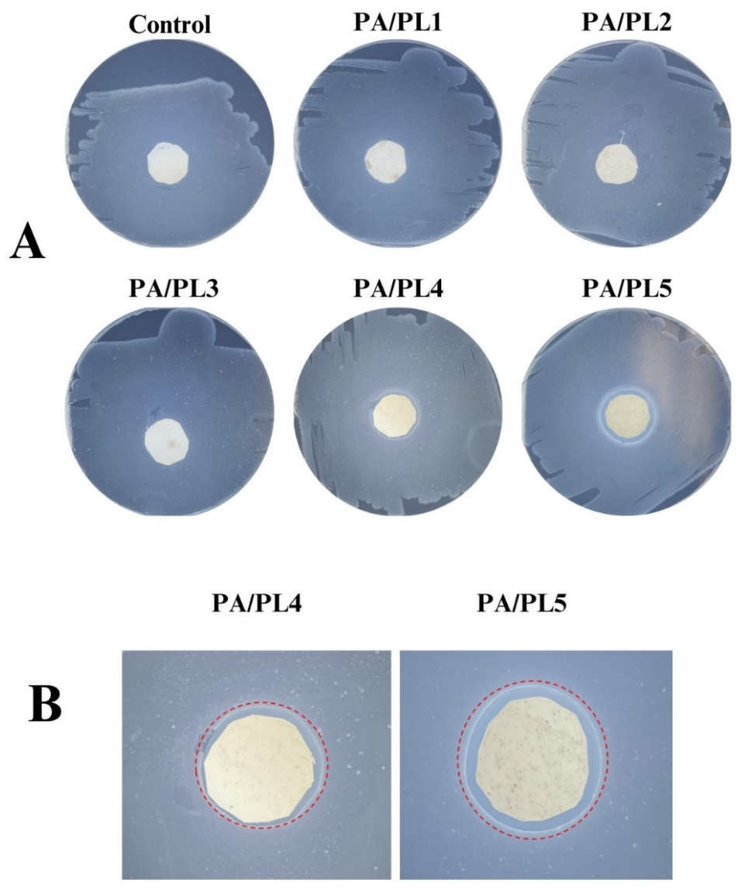 Preprints 108078 g007