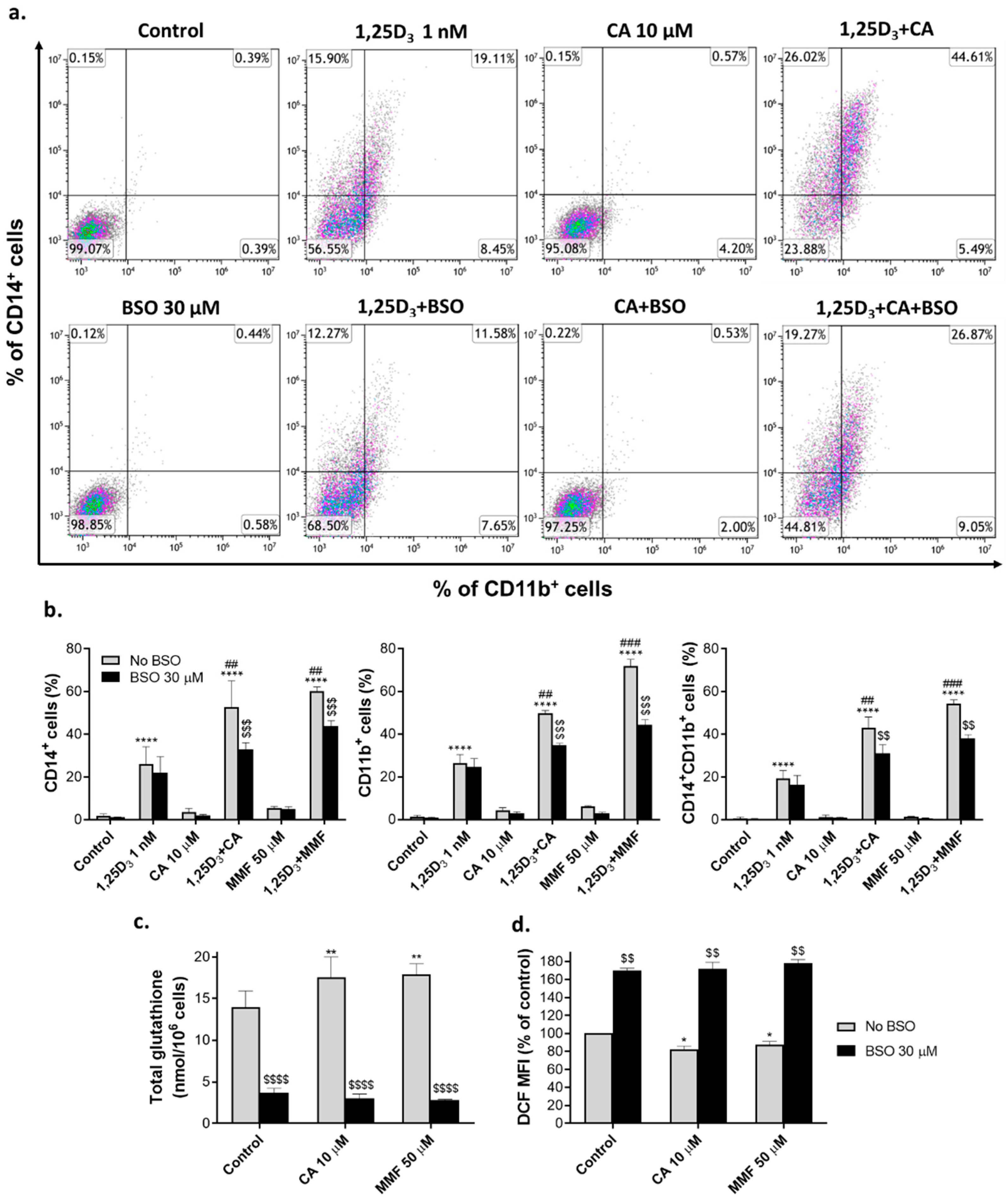 Preprints 94461 g001