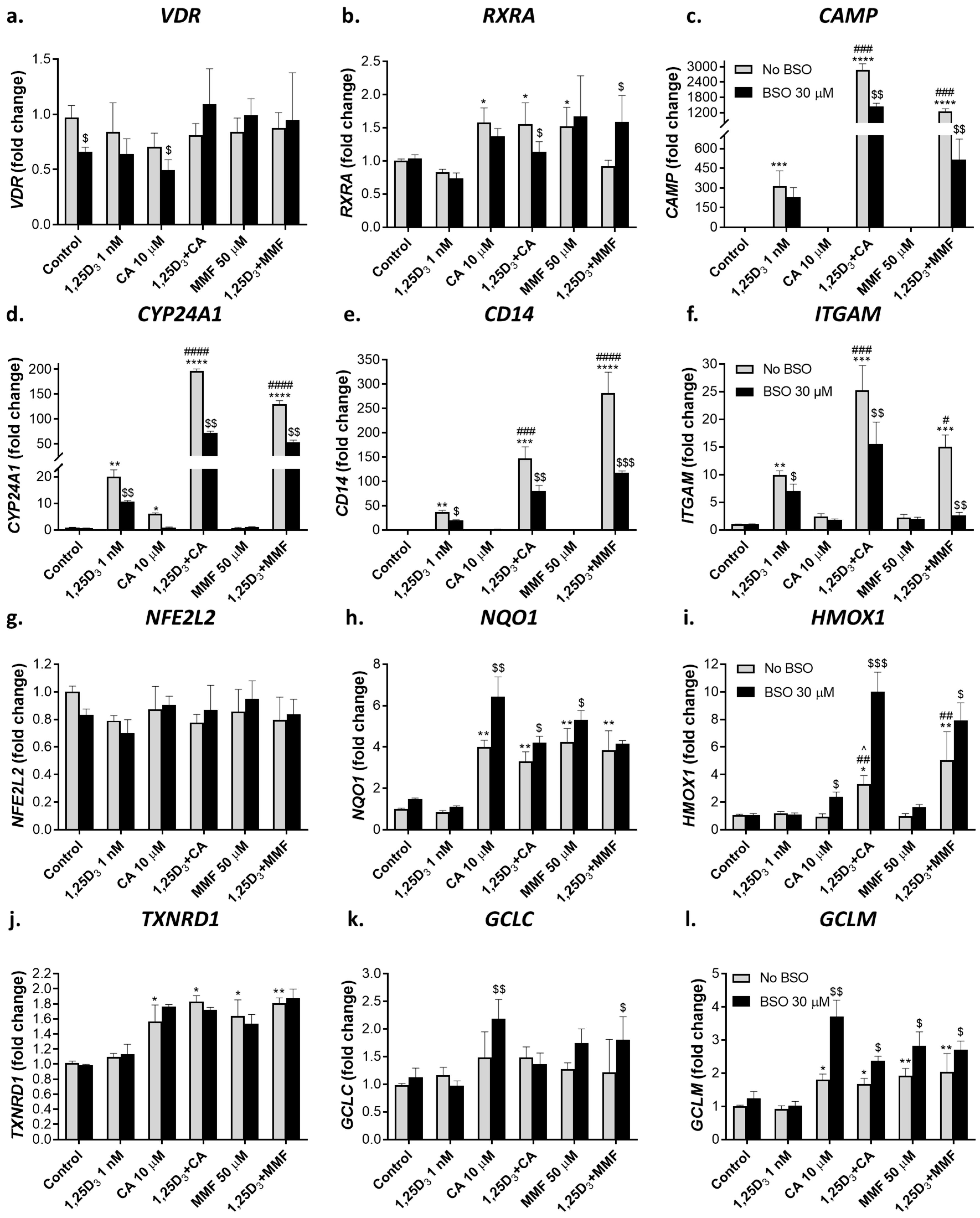 Preprints 94461 g002