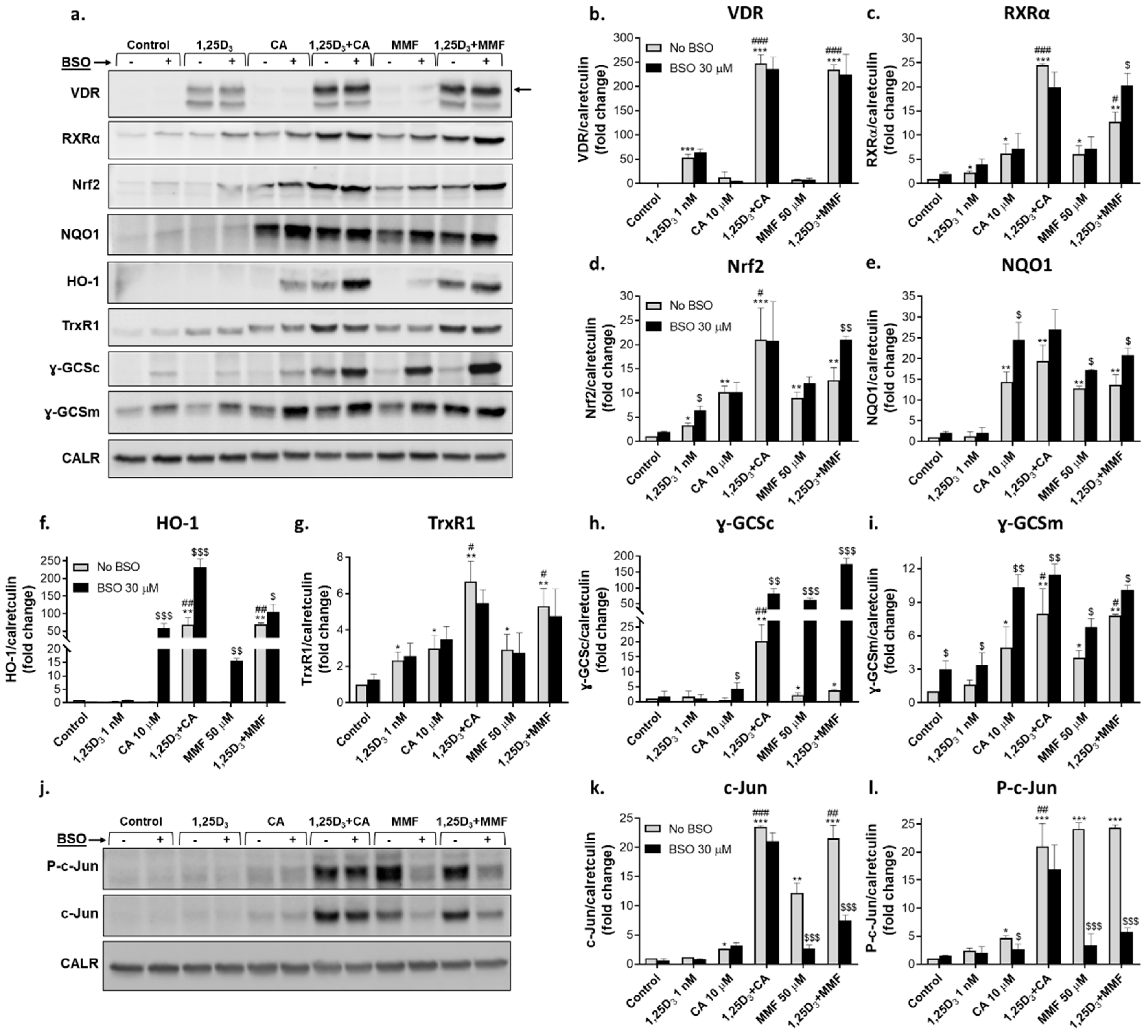 Preprints 94461 g003