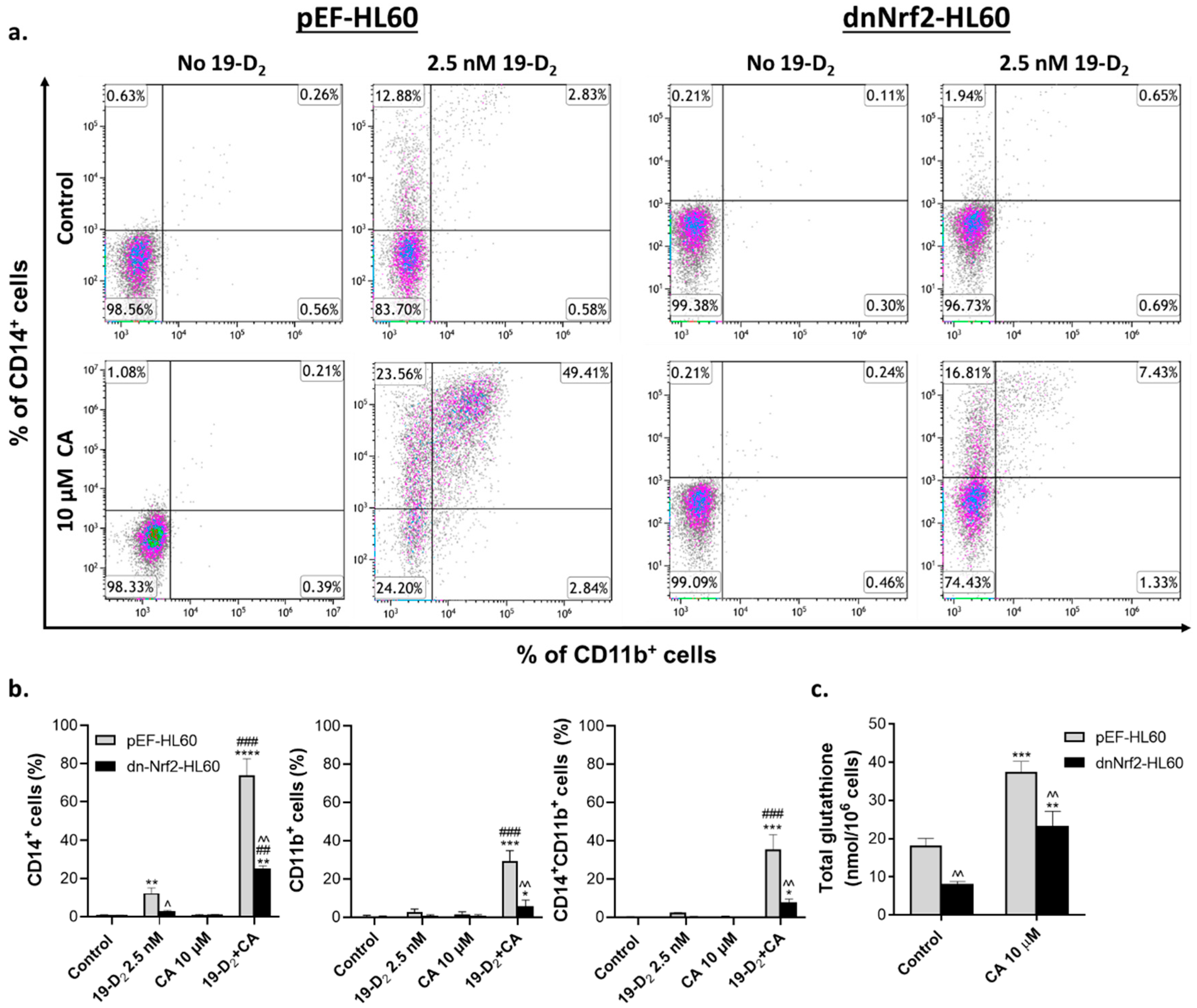 Preprints 94461 g004