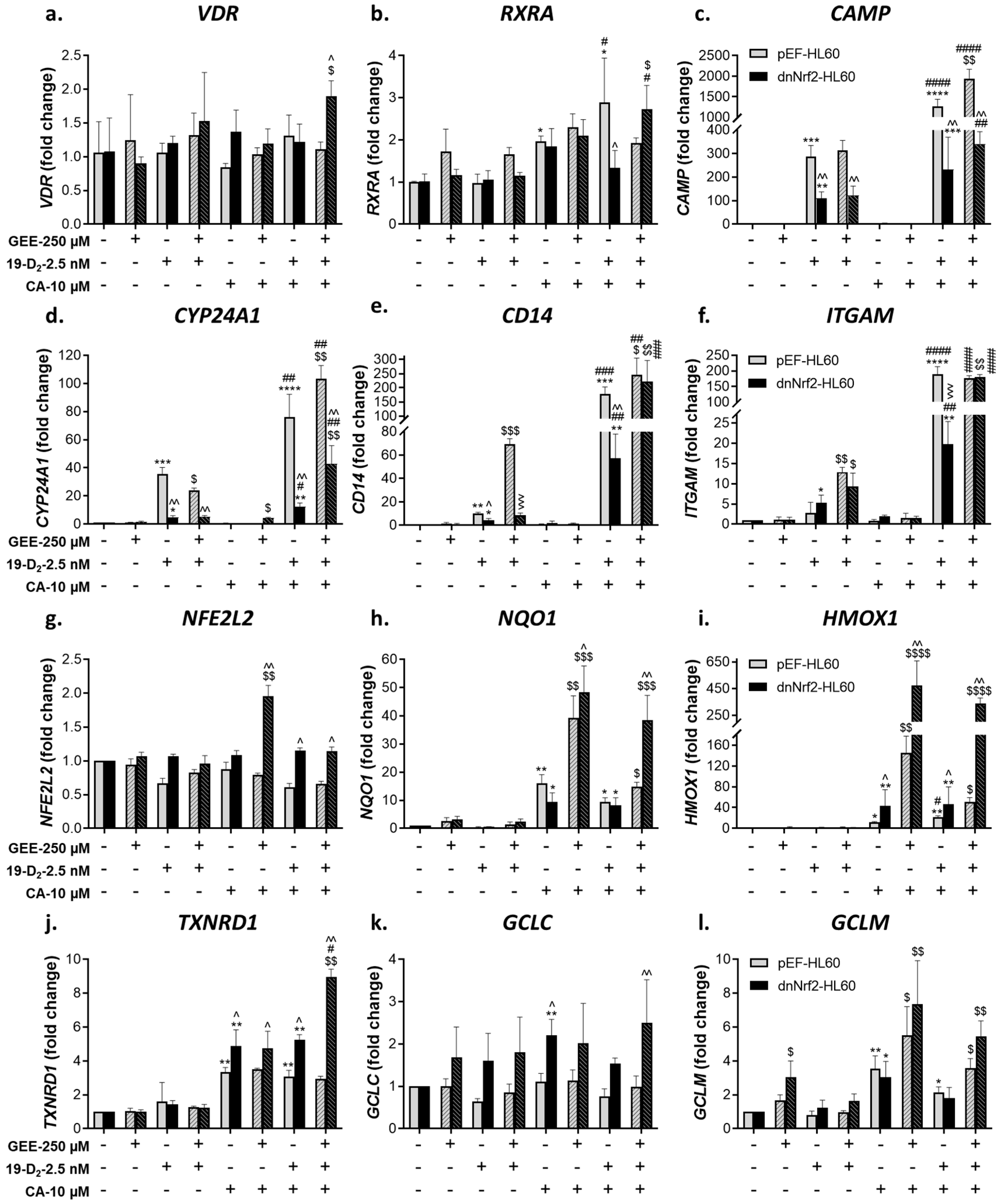 Preprints 94461 g006