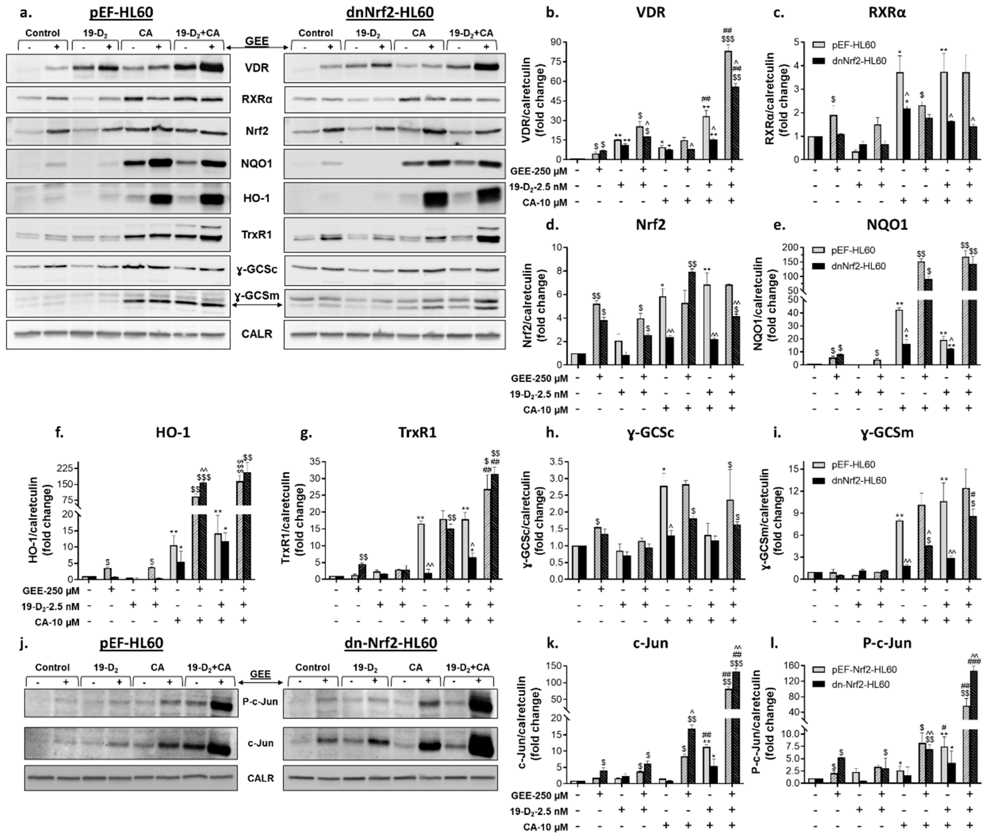 Preprints 94461 g007