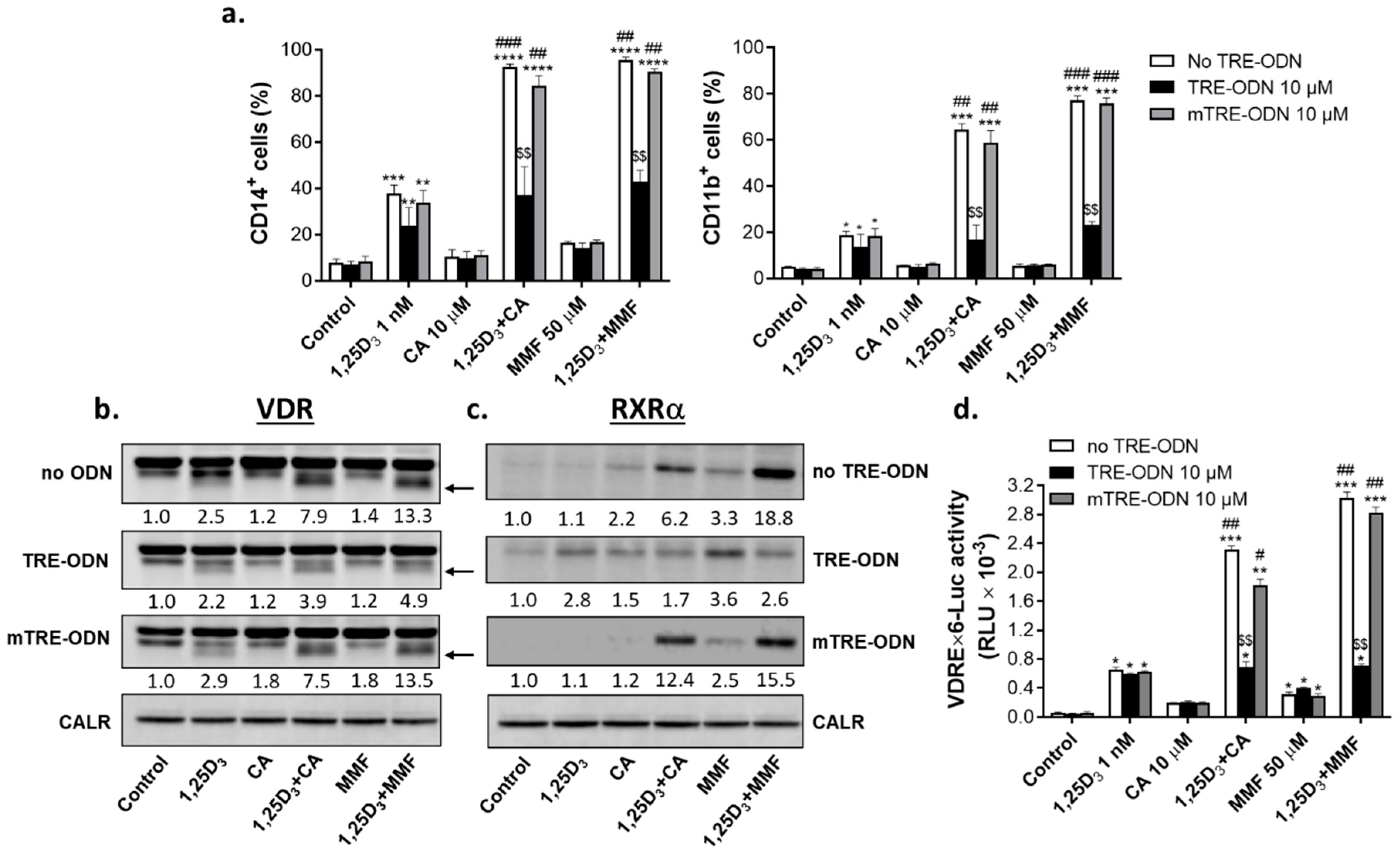 Preprints 94461 g008