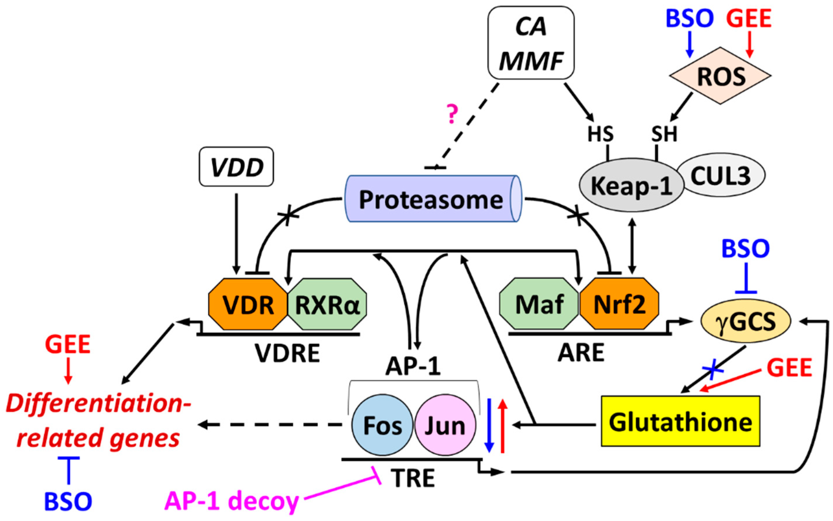 Preprints 94461 g009