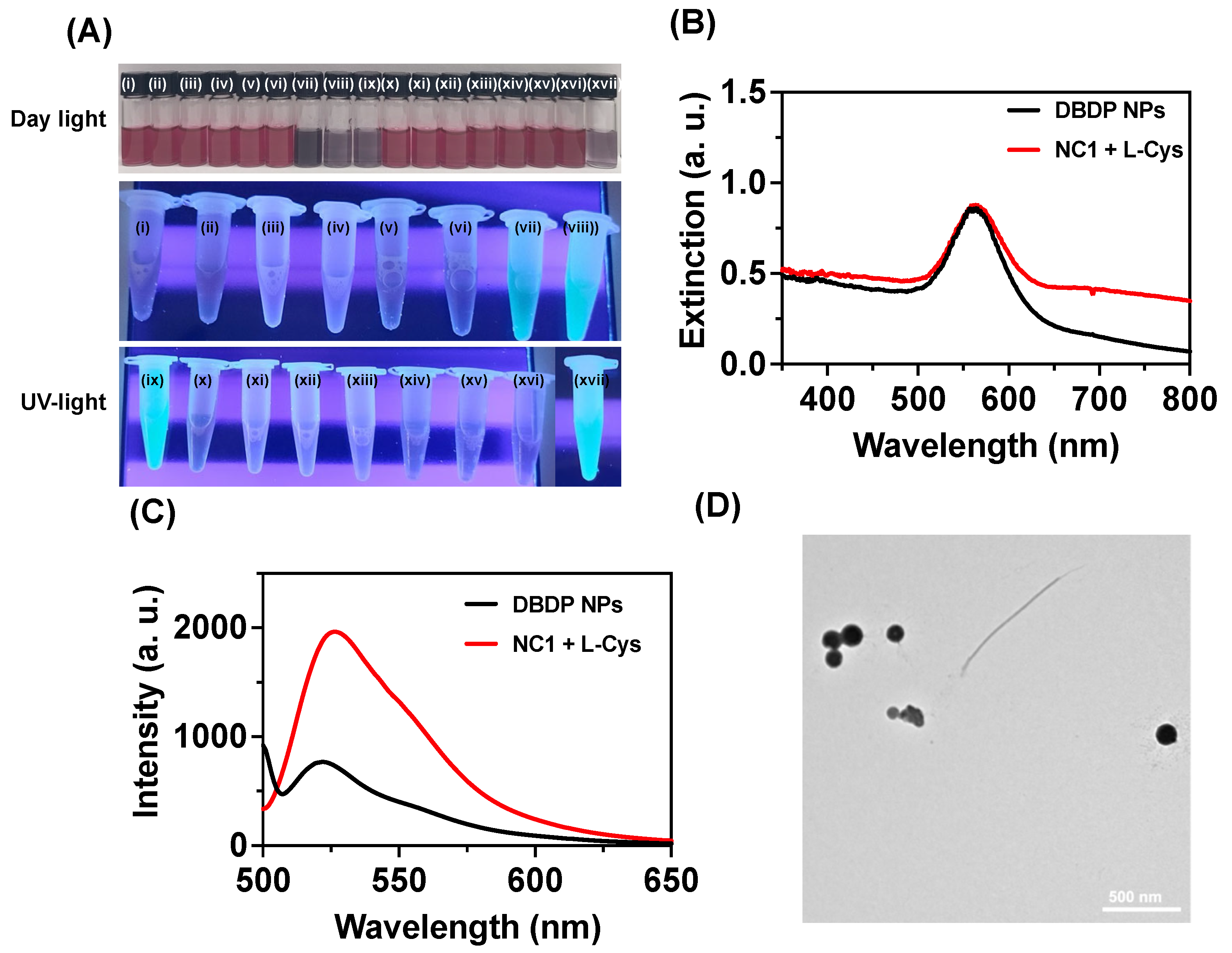 Preprints 110573 g003