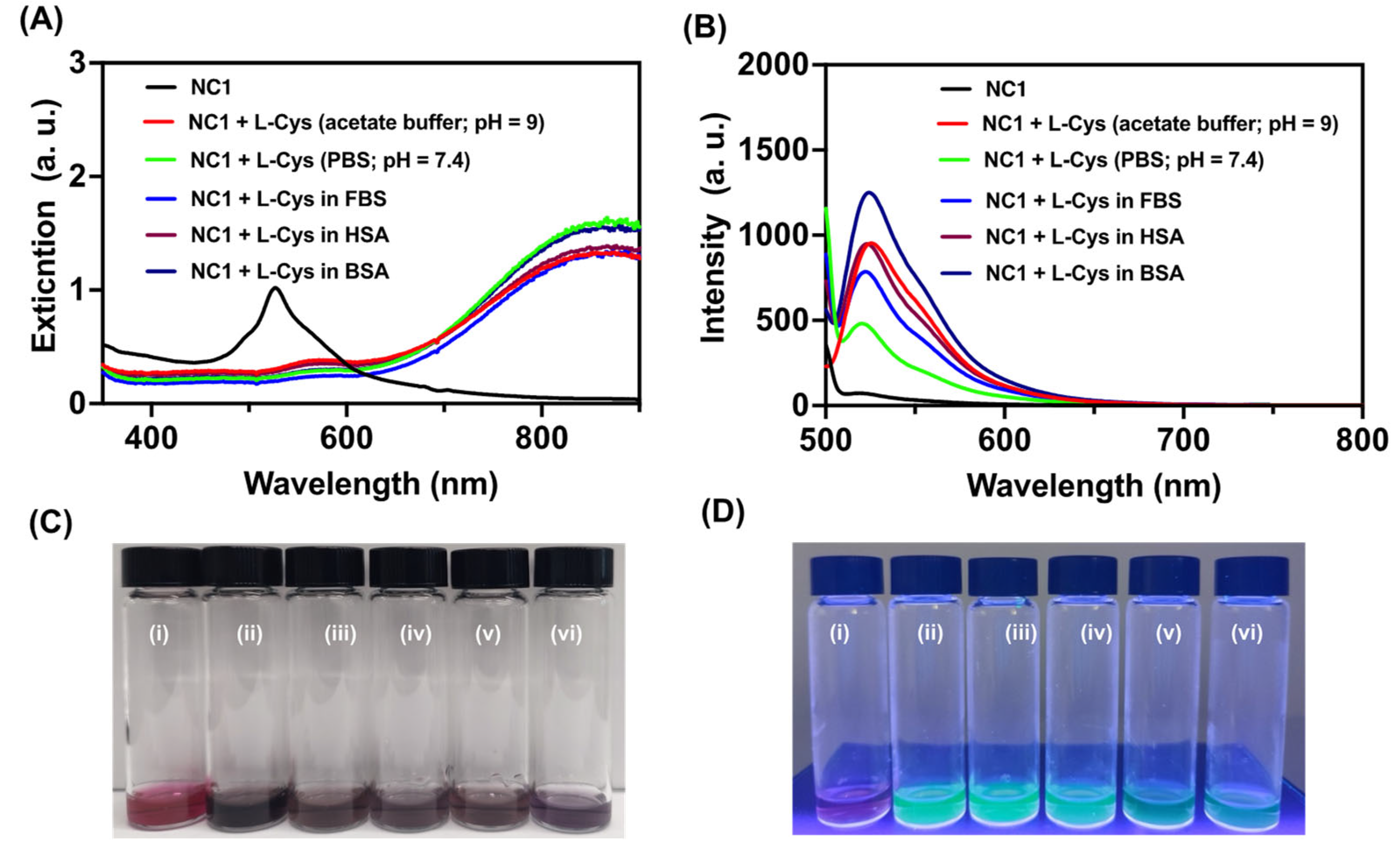 Preprints 110573 g004