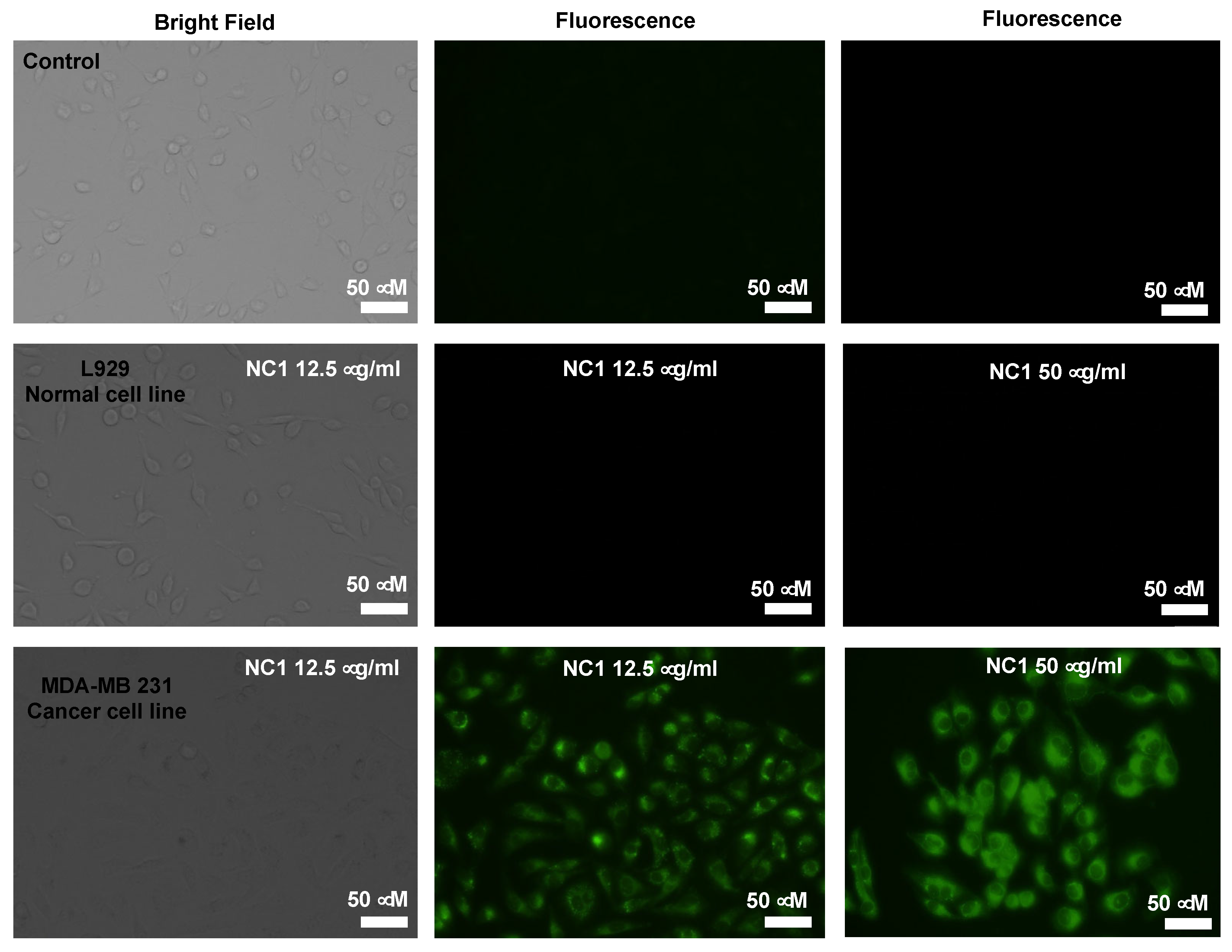 Preprints 110573 g007