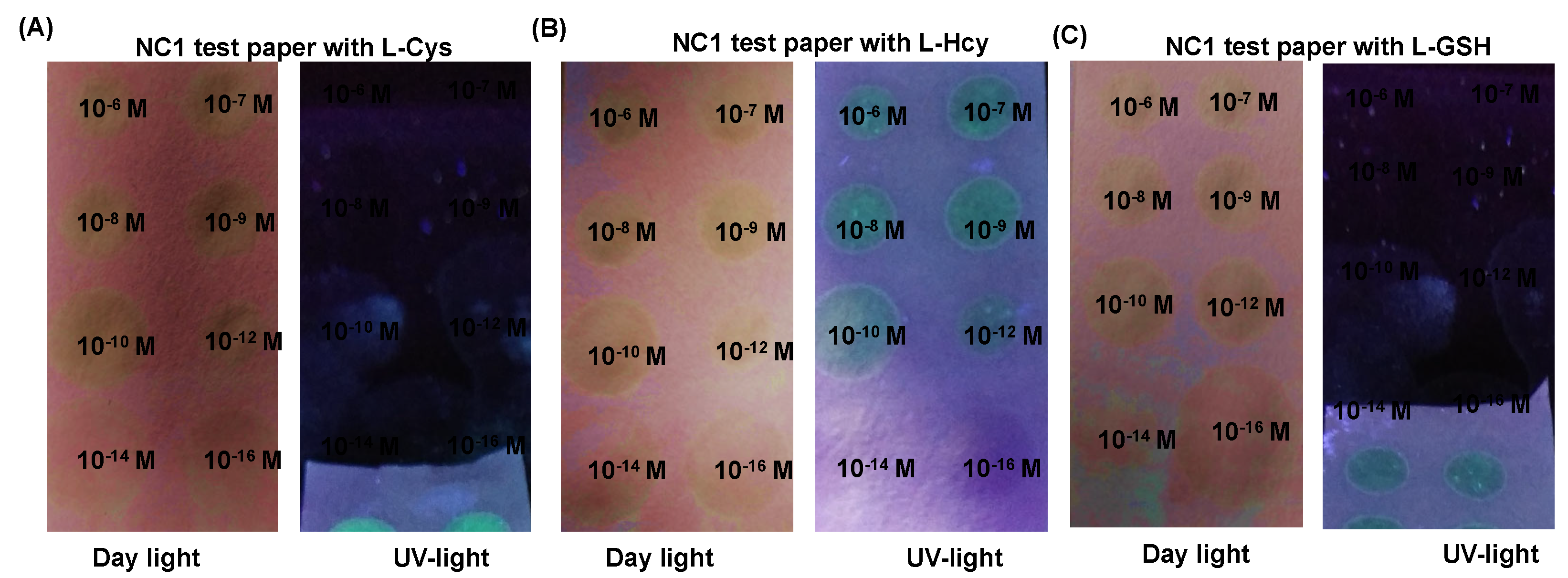 Preprints 110573 g008