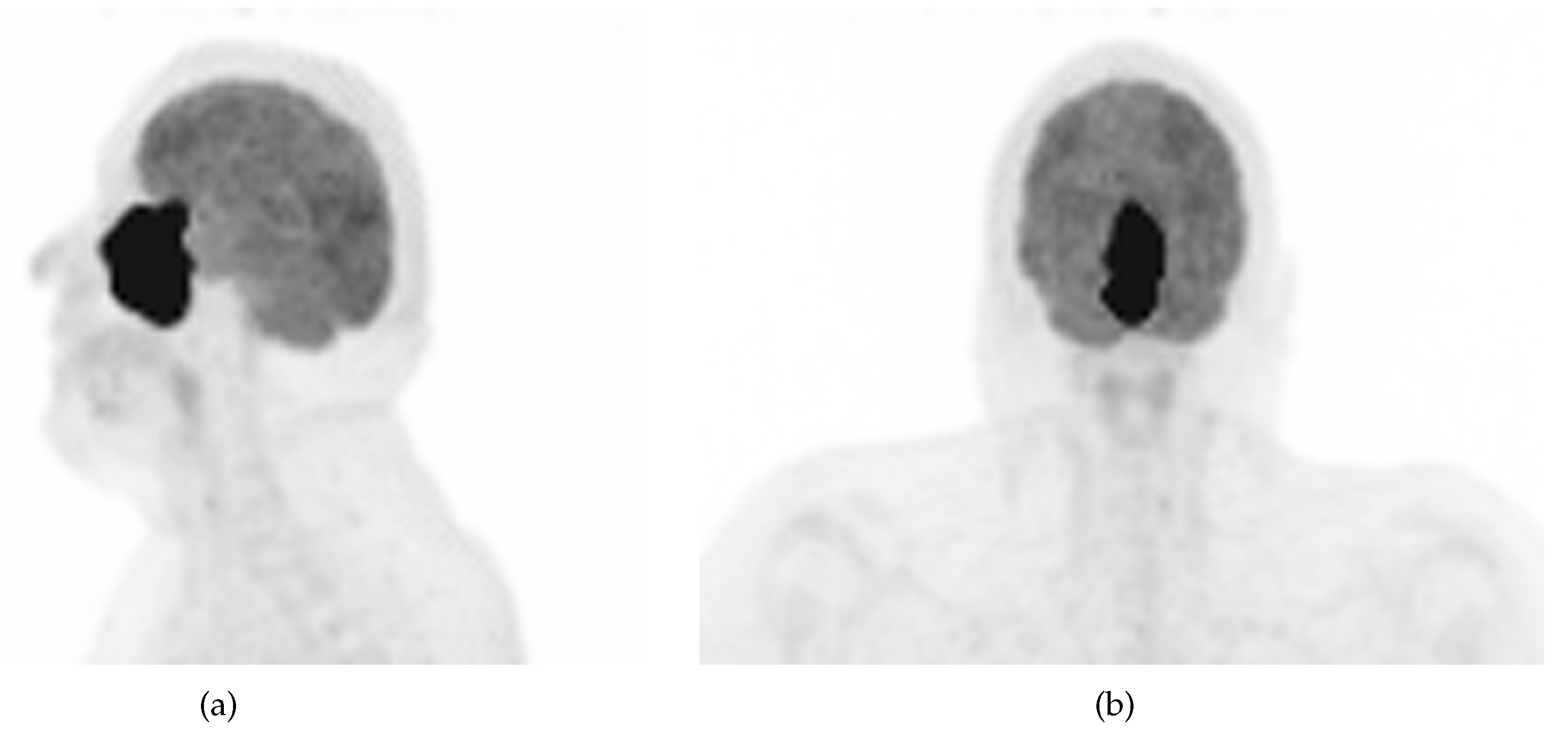 Preprints 105947 g002