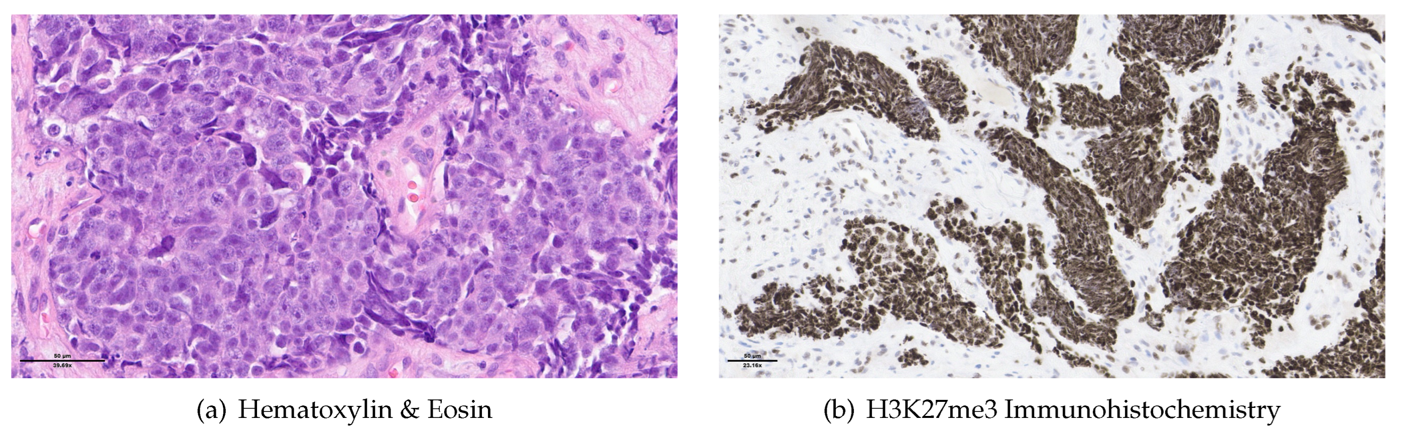 Preprints 105947 g003